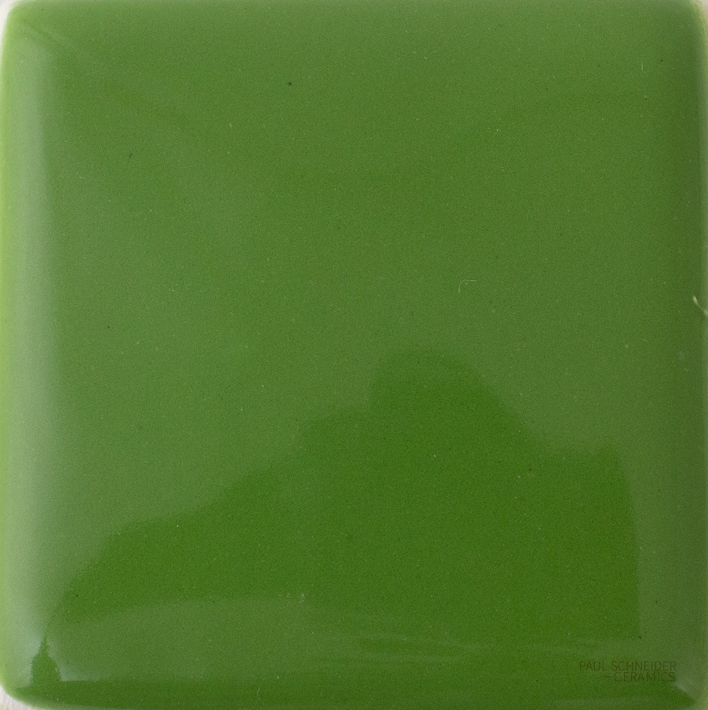 Sample - Solid Glossy / #1530-L