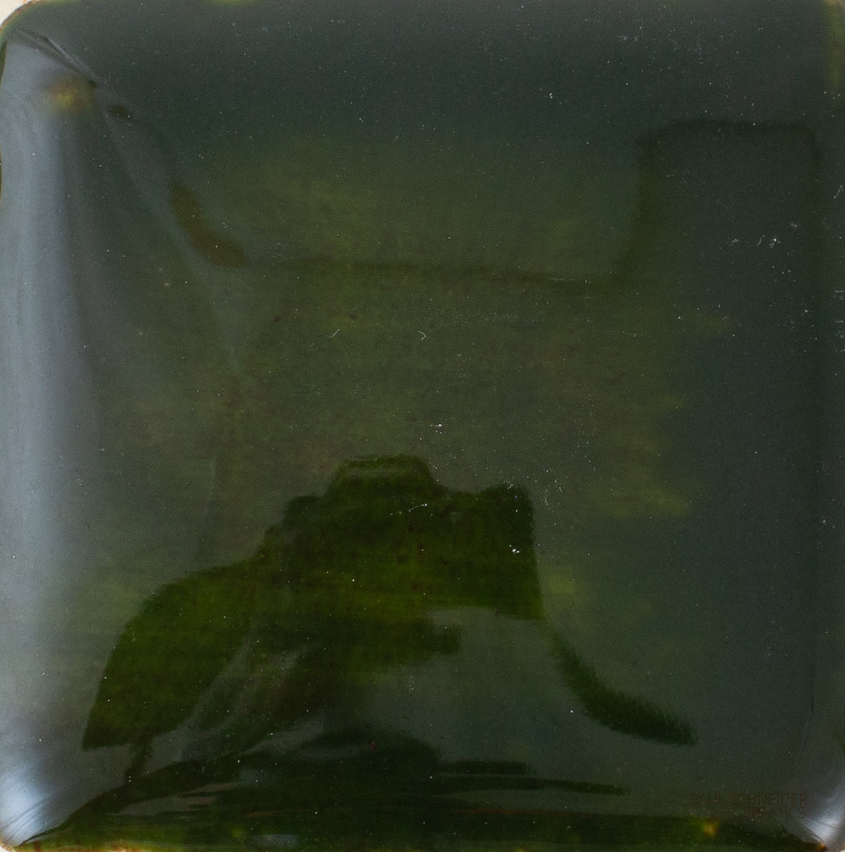Sample - Solid Glossy / #1693-L