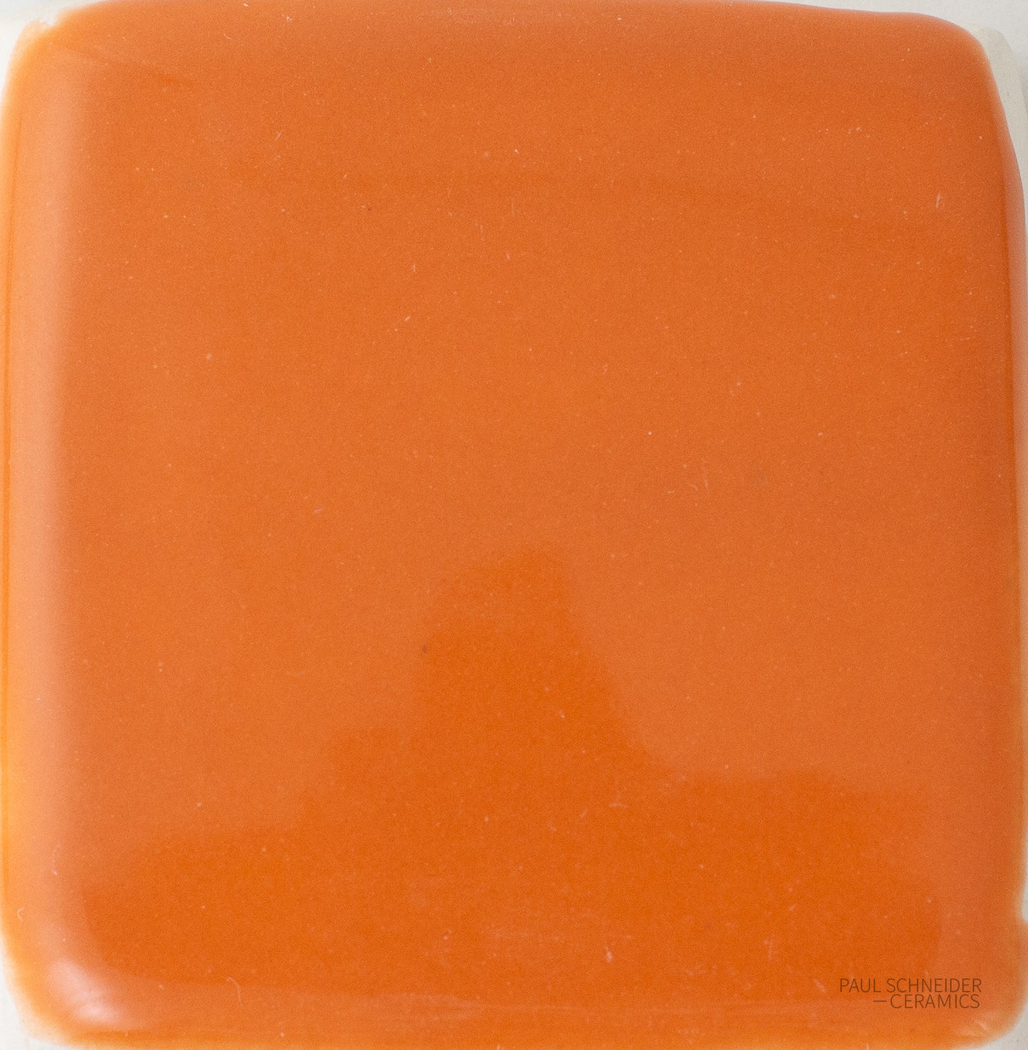 Sample - Solid Glossy / #1501-L