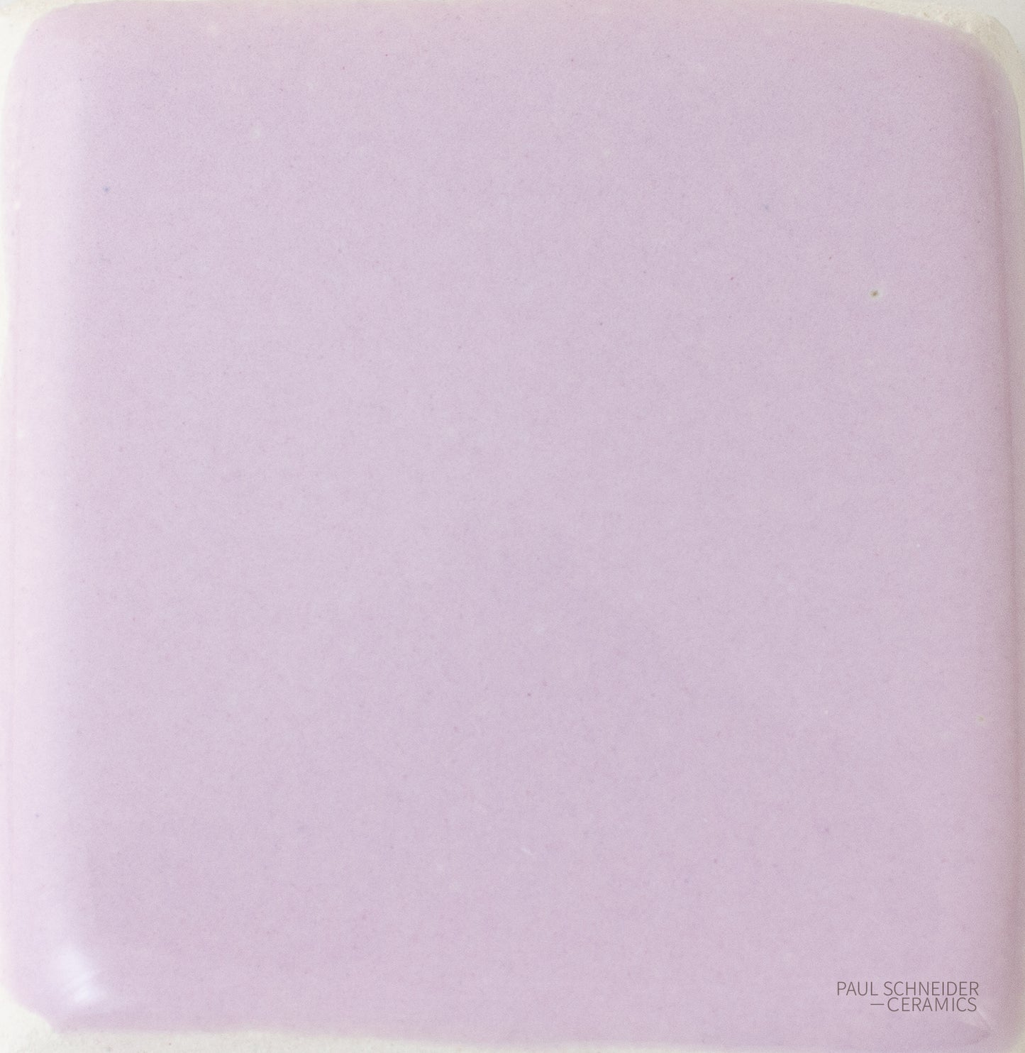 Sample - Solid Glossy / #1513-L