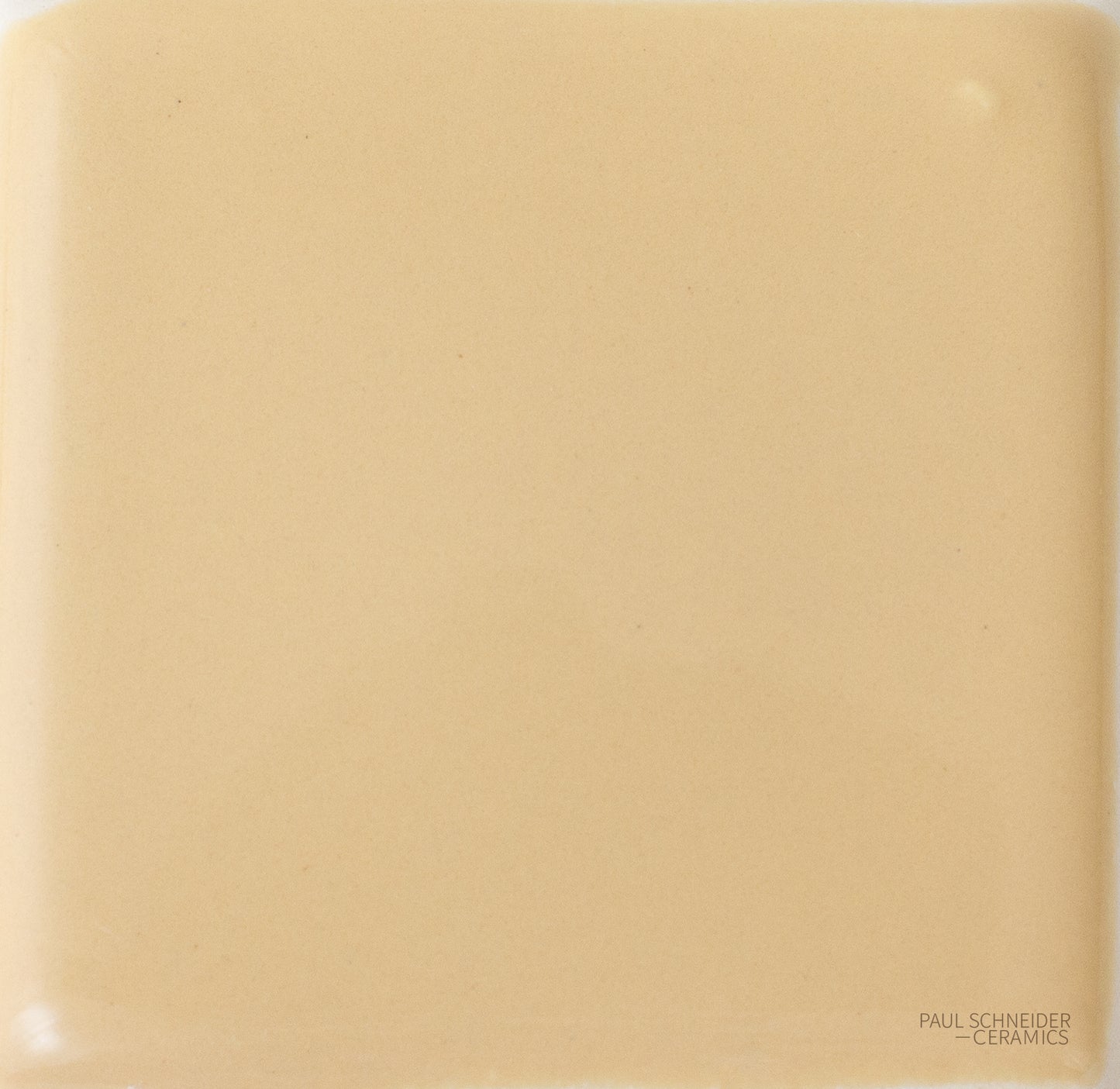 Sample - Solid Glossy / #1523-L