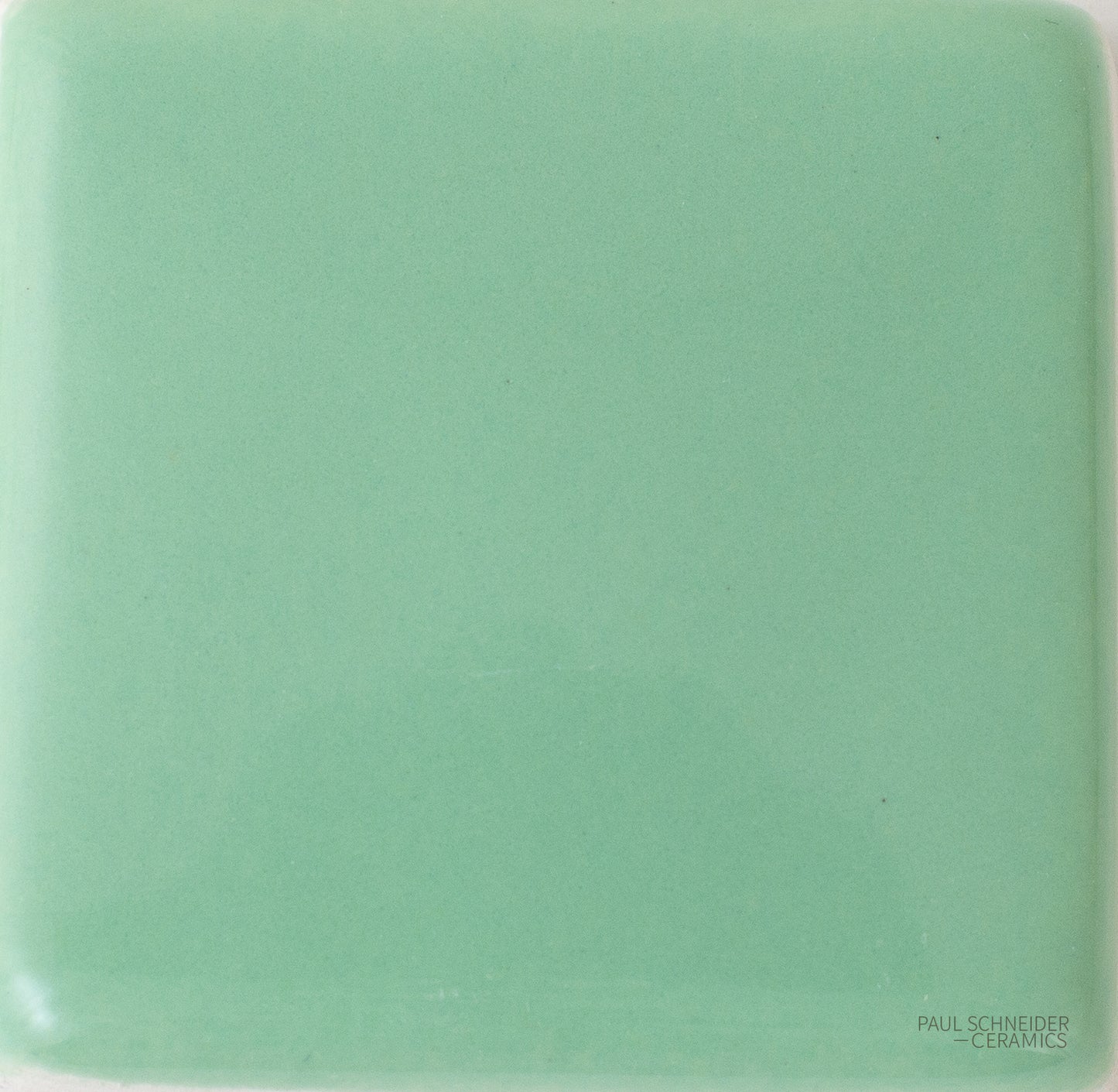 Sample - Solid Glossy / #1531-L