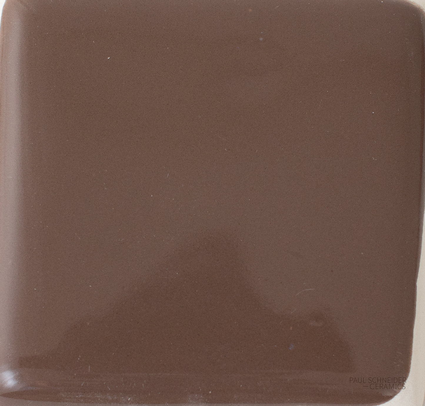 Sample - Solid Glossy / #1536-L