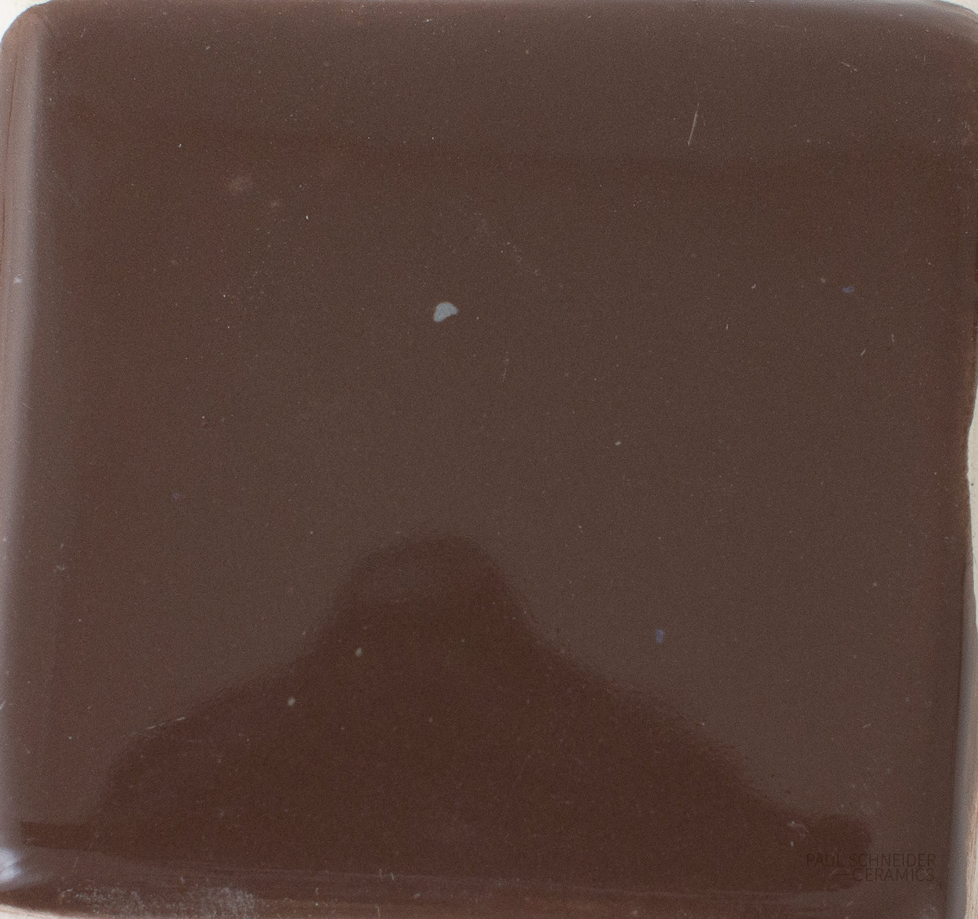 Sample - Solid Glossy / #1537-L