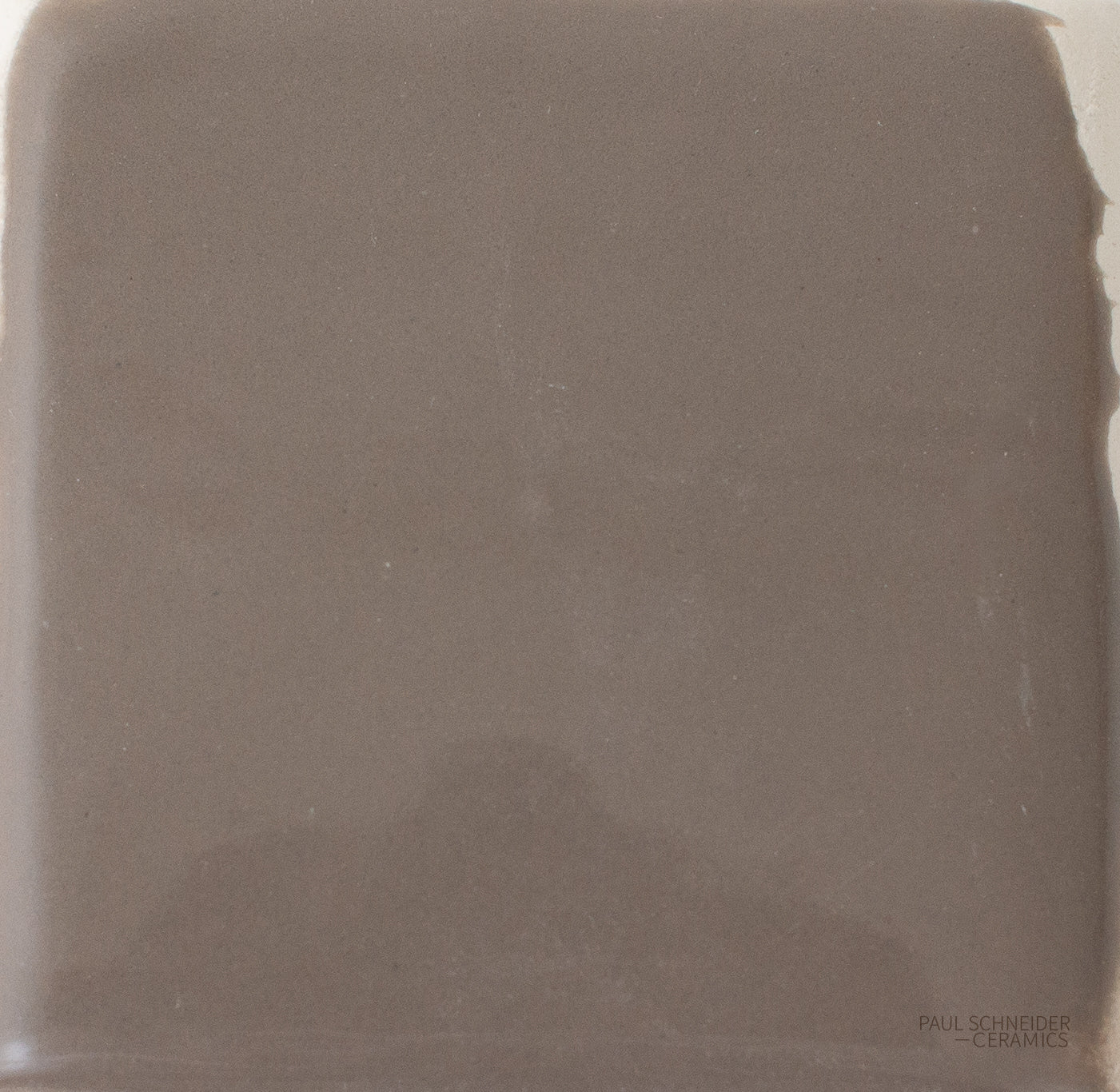 Sample - Solid Glossy / #1538-L