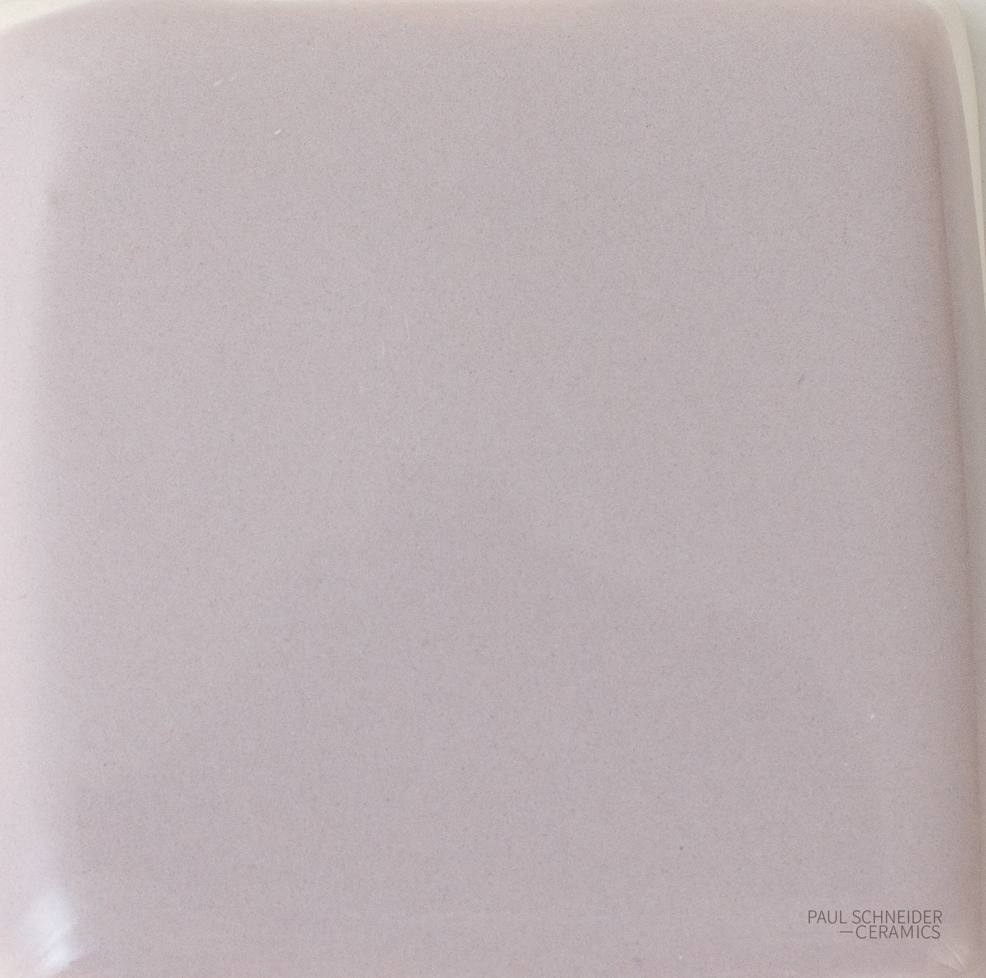 Sample - Solid Glossy / #1556-L