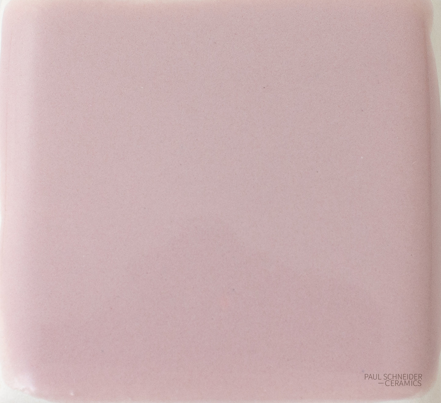 Sample - Solid Glossy / #1557-L