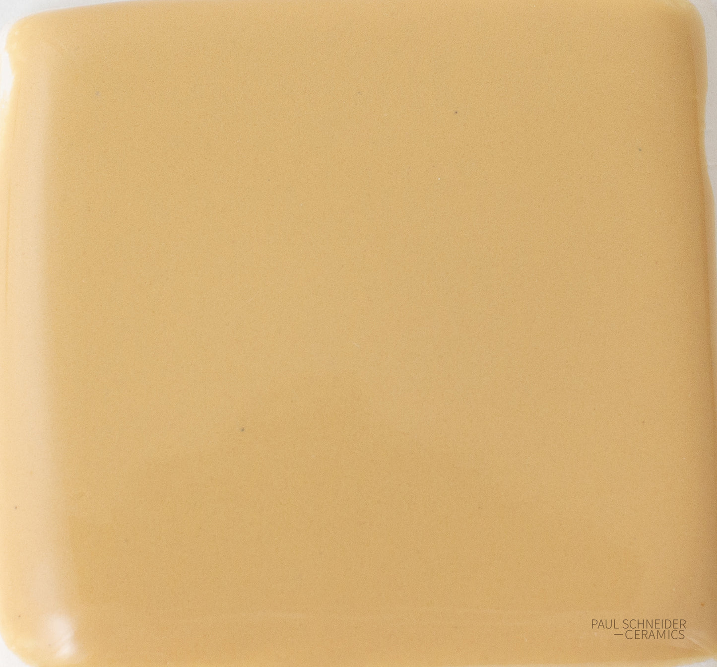 Sample - Solid Glossy / #1558-L