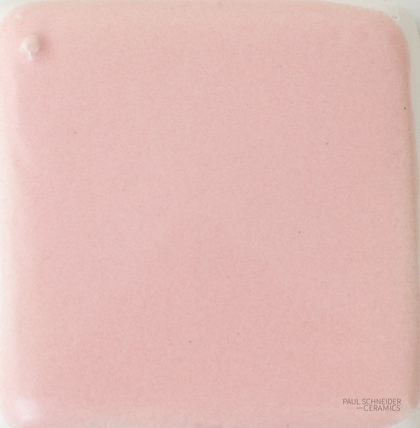 Sample - Solid Glossy / #1564-L