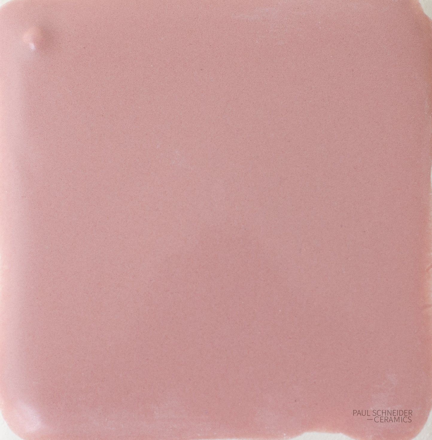 Sample - Solid Glossy / #1565-L