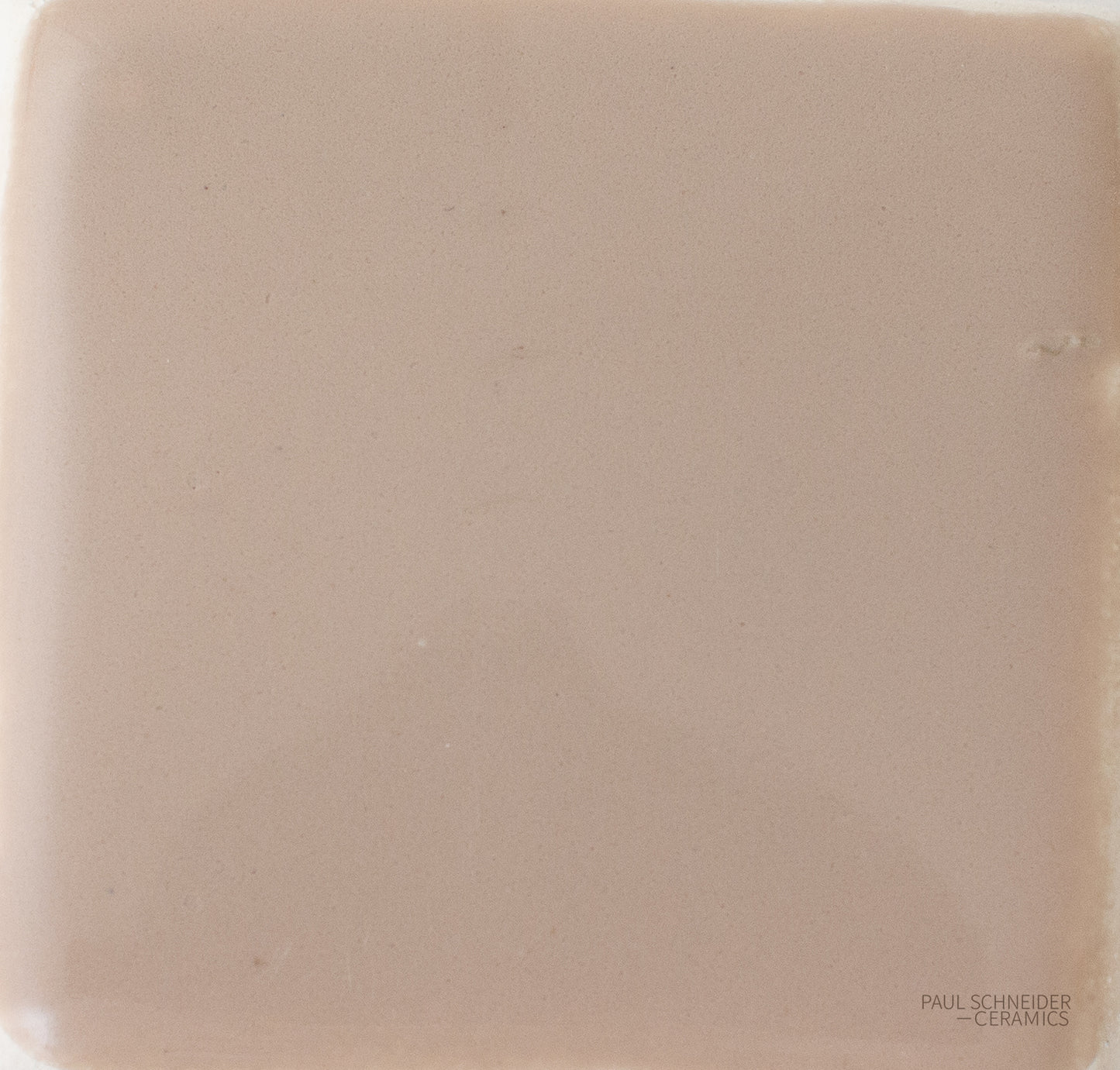 Sample - Solid Glossy / #1572-L