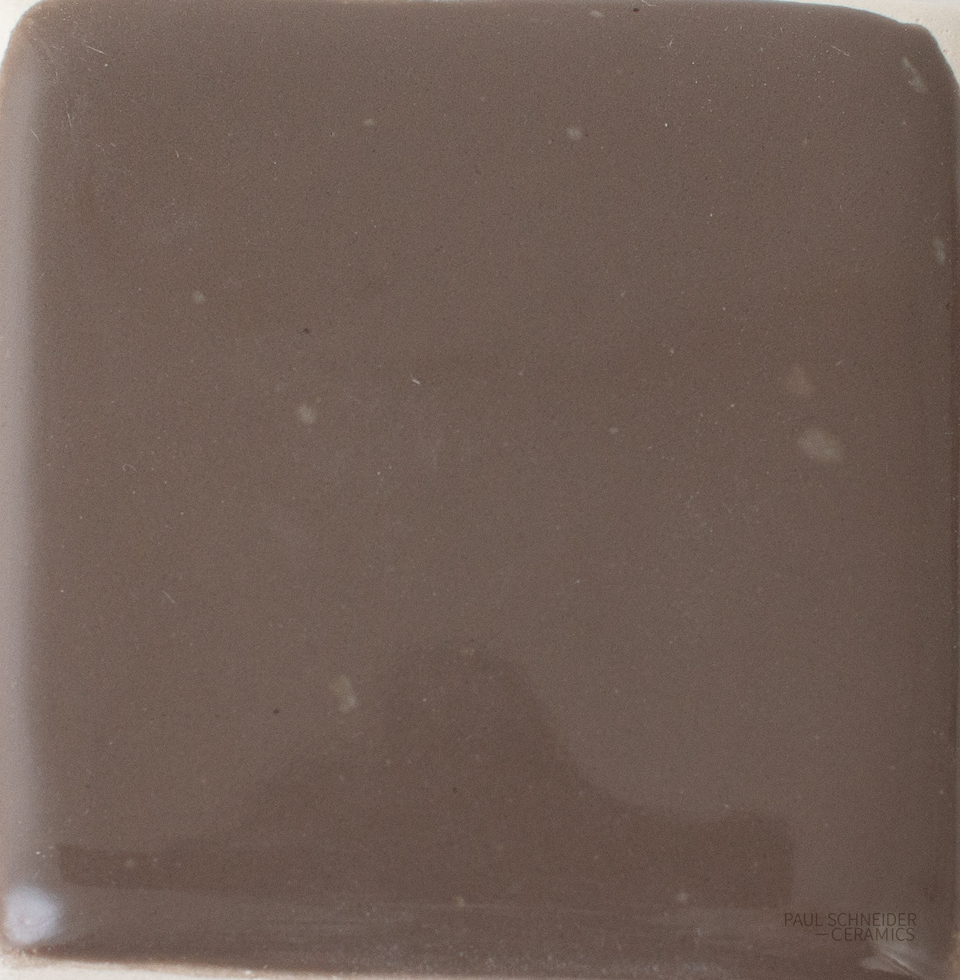 Sample - Solid Glossy / #1573-L