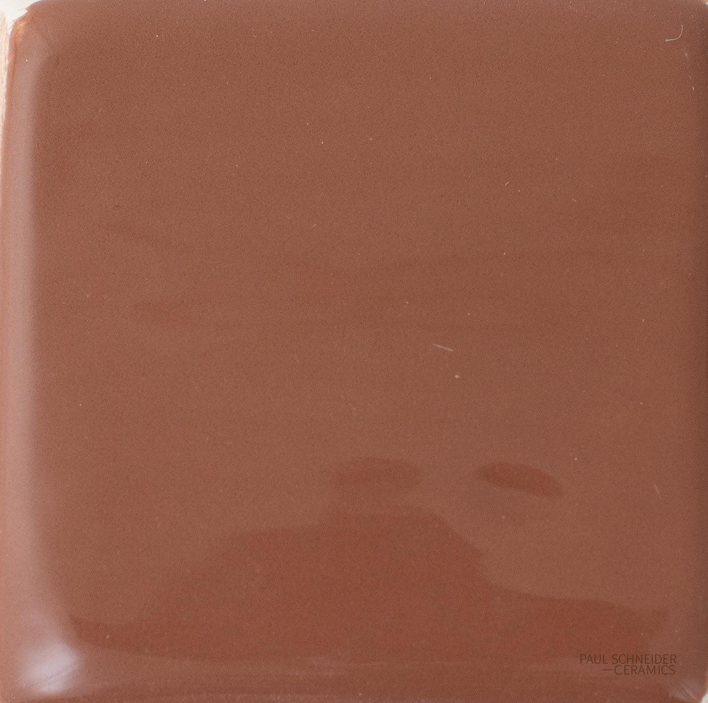 Sample - Solid Glossy / #1575-L