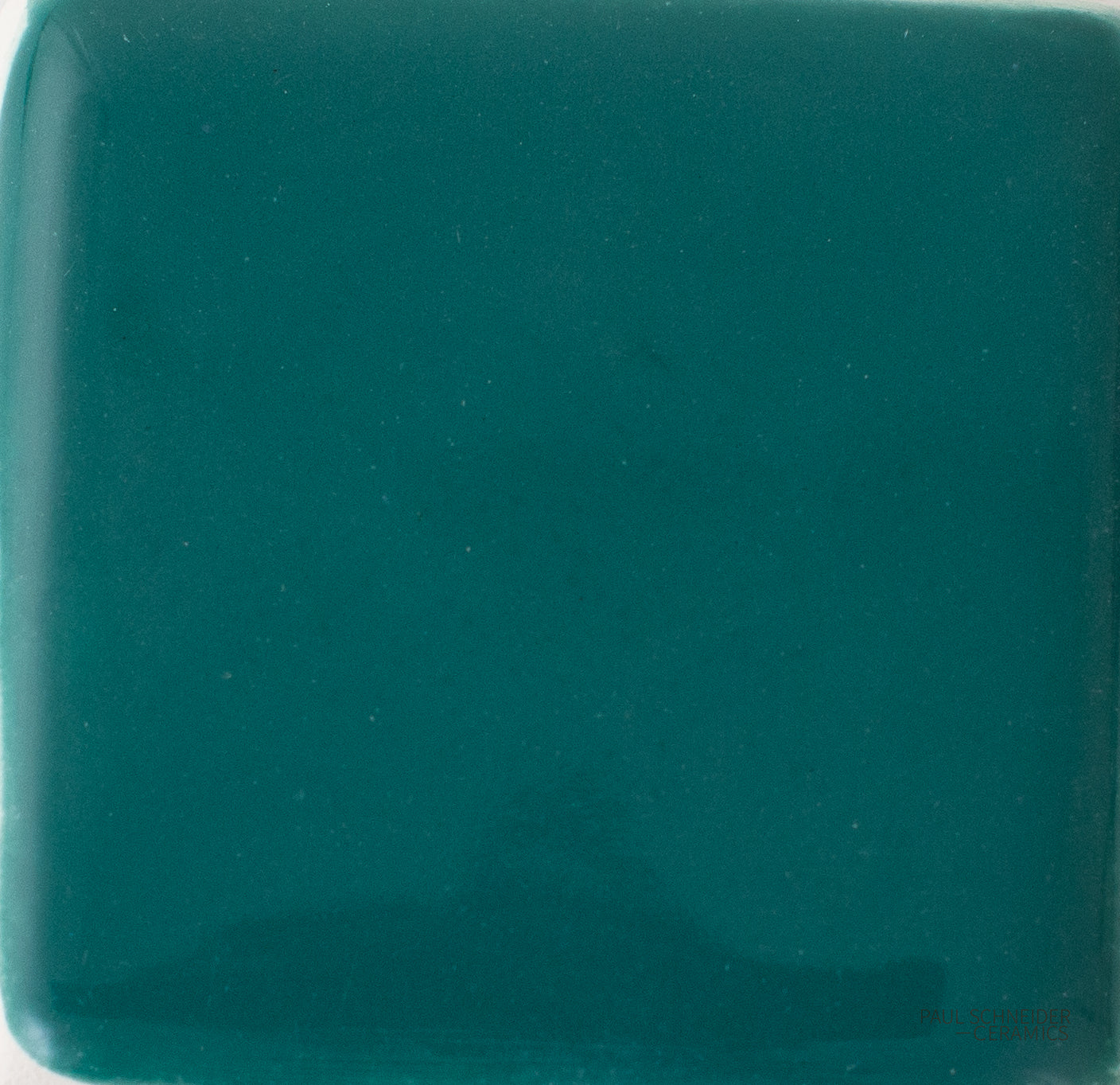 Sample - Solid Glossy / #1576-L