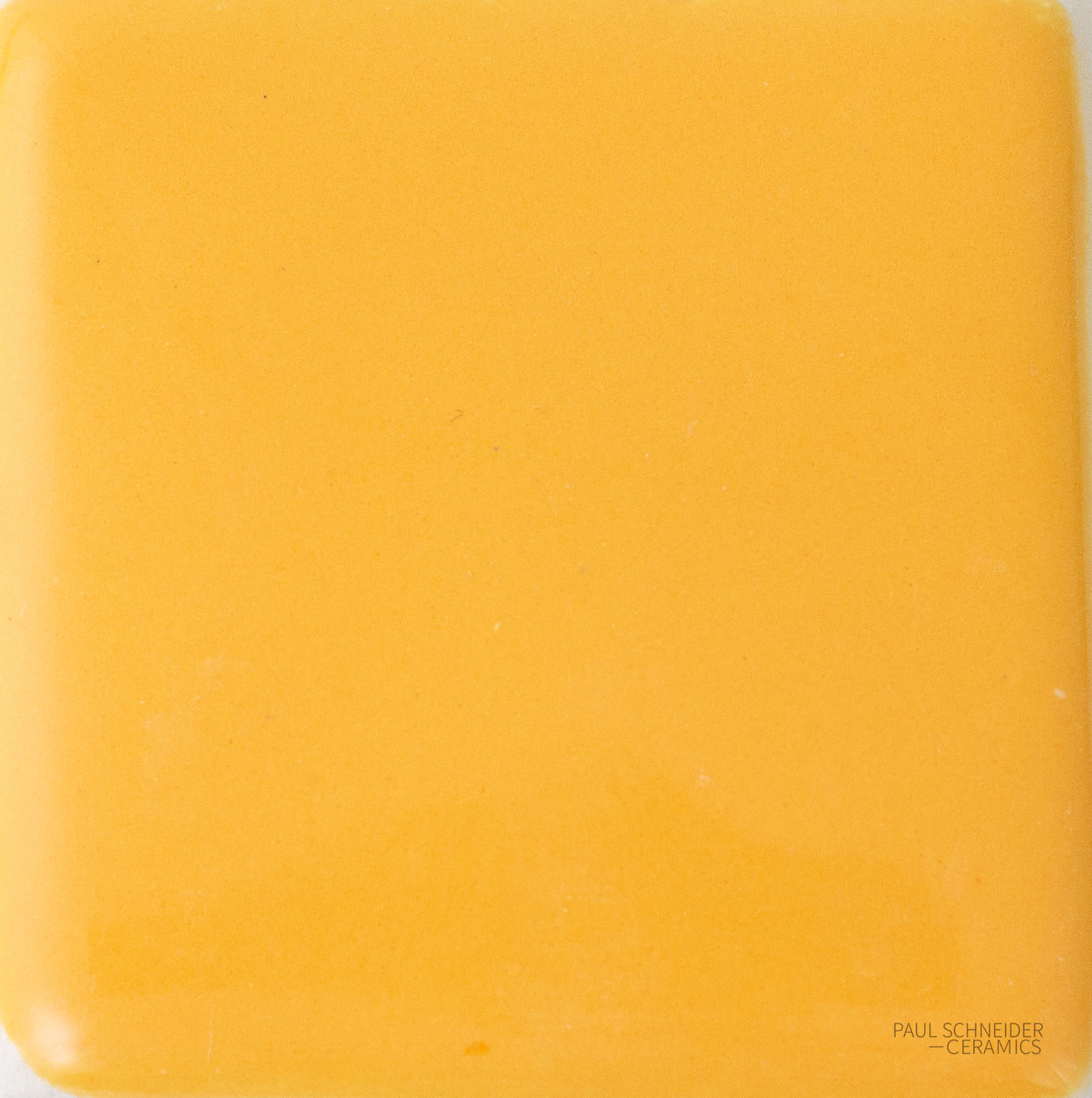 Sample - Solid Glossy / #1577-L