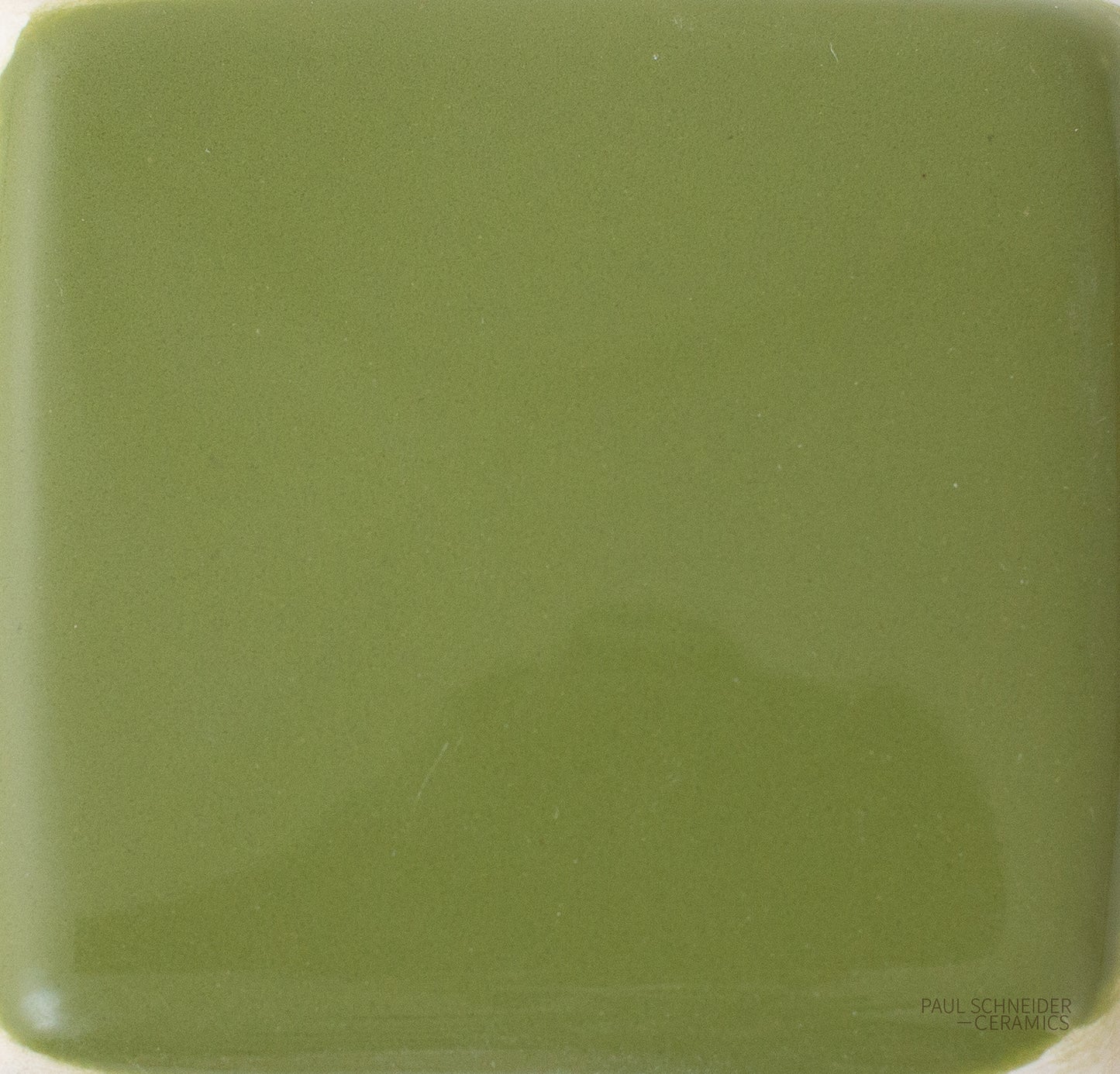 Sample - Solid Glossy / #1603-L