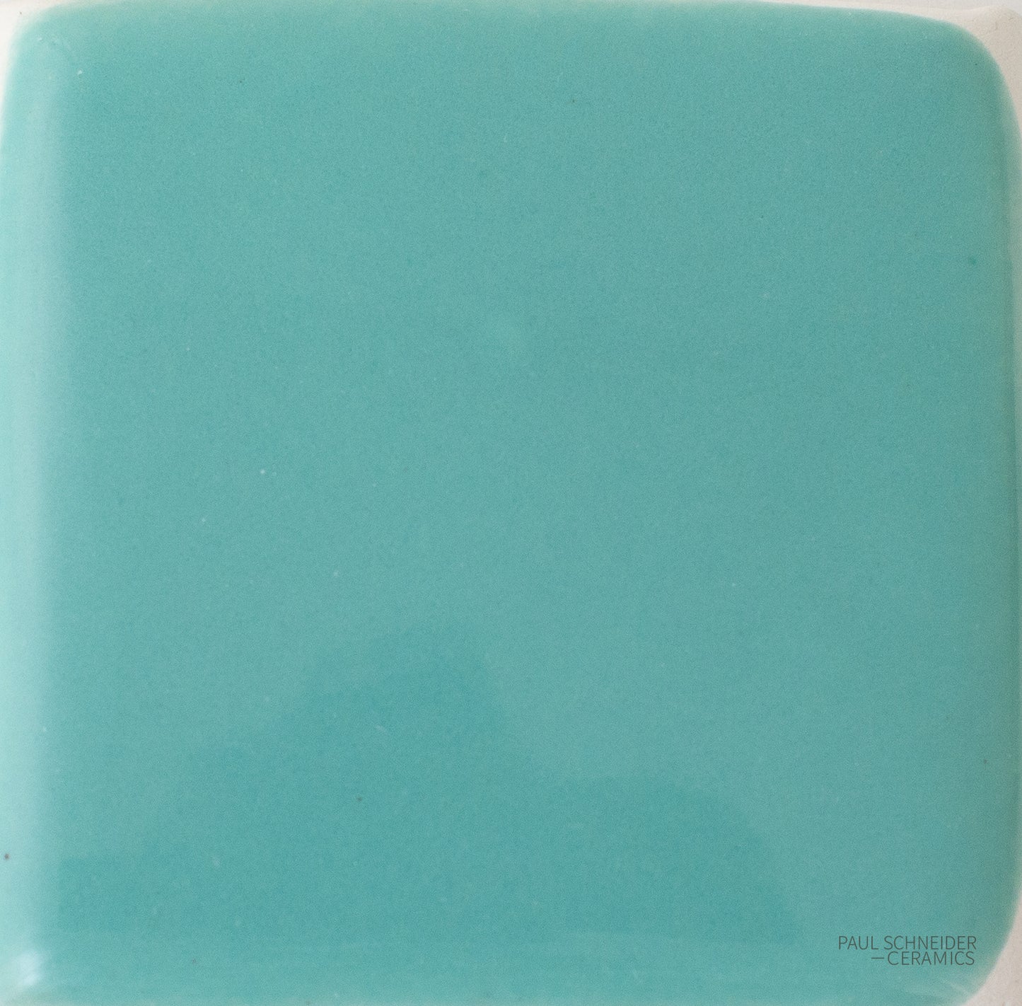 Sample - Solid Glossy / #1607-L