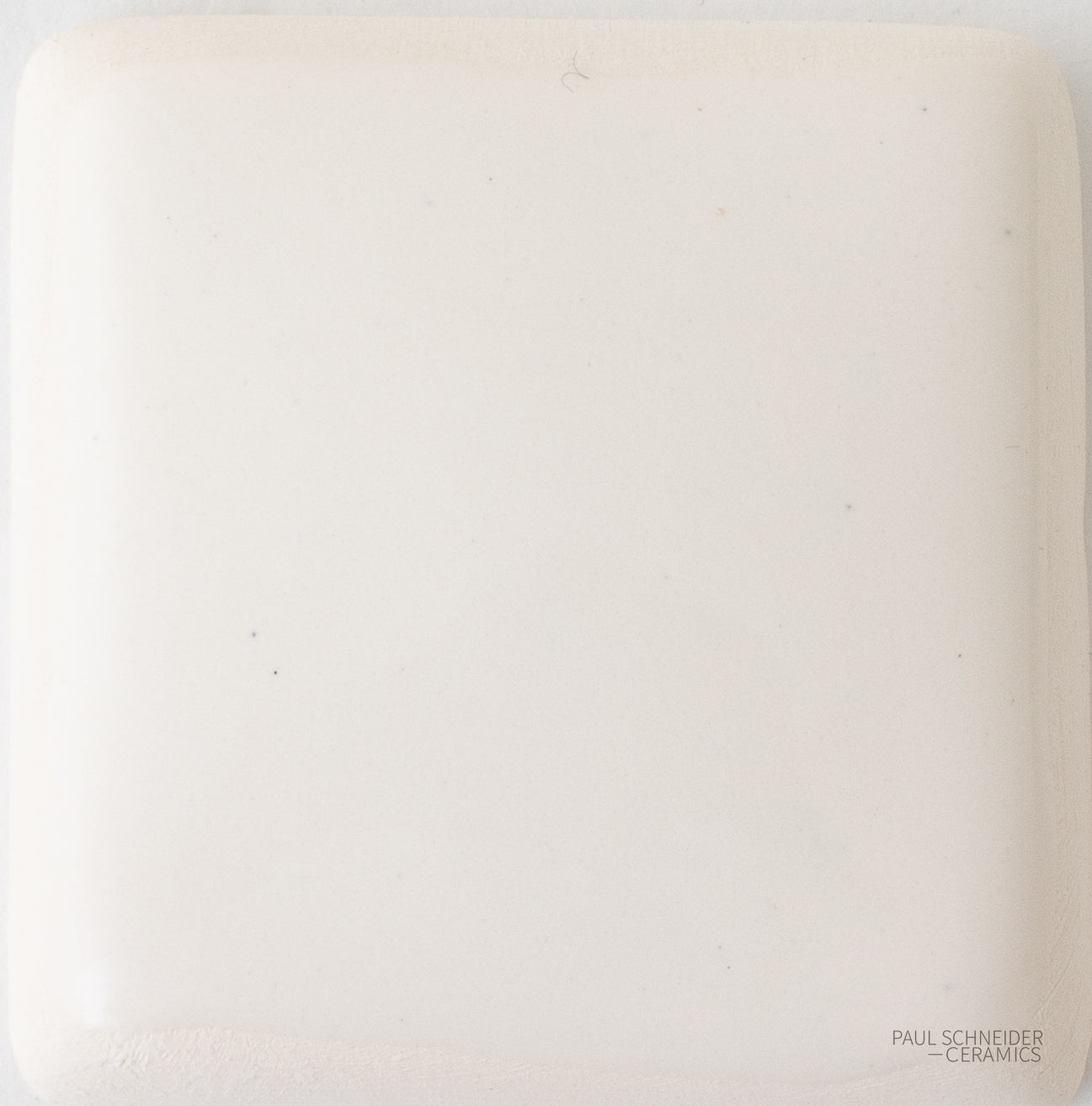 Sample - Solid Glossy / #1671-L