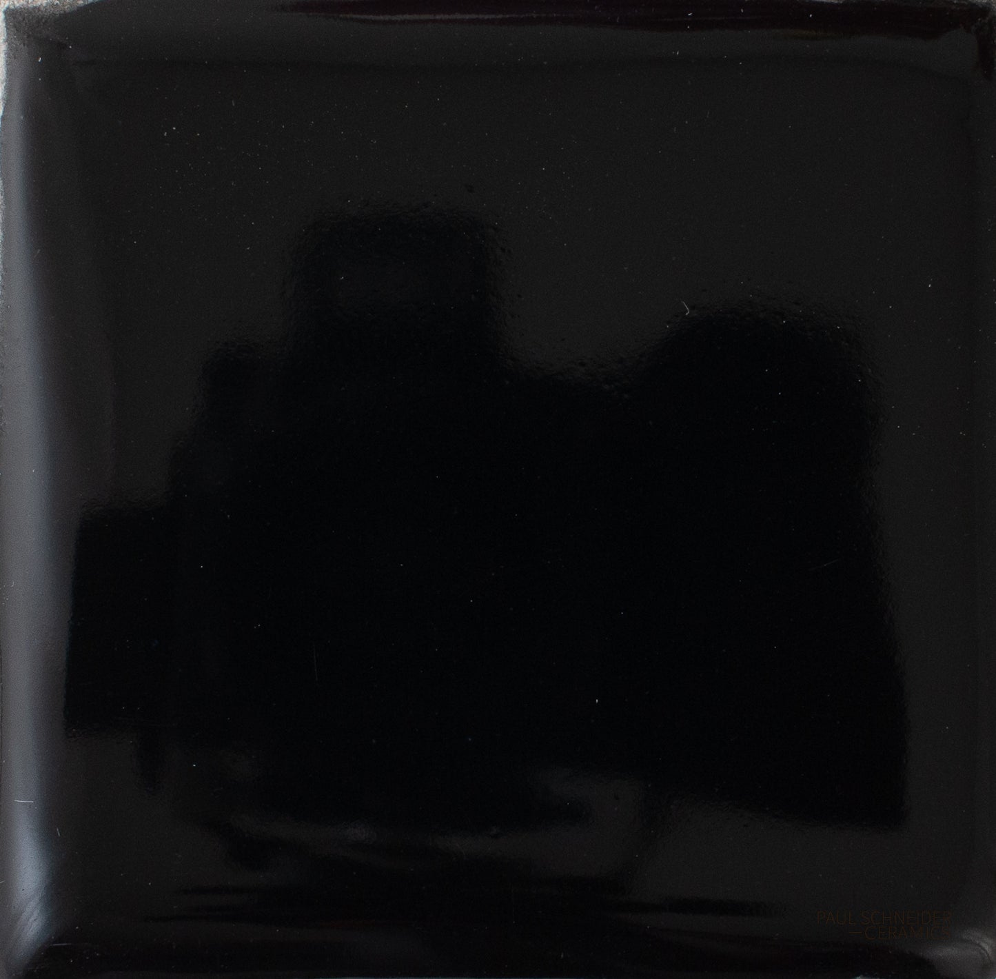 Sample - Solid Glossy / #1595-L Black