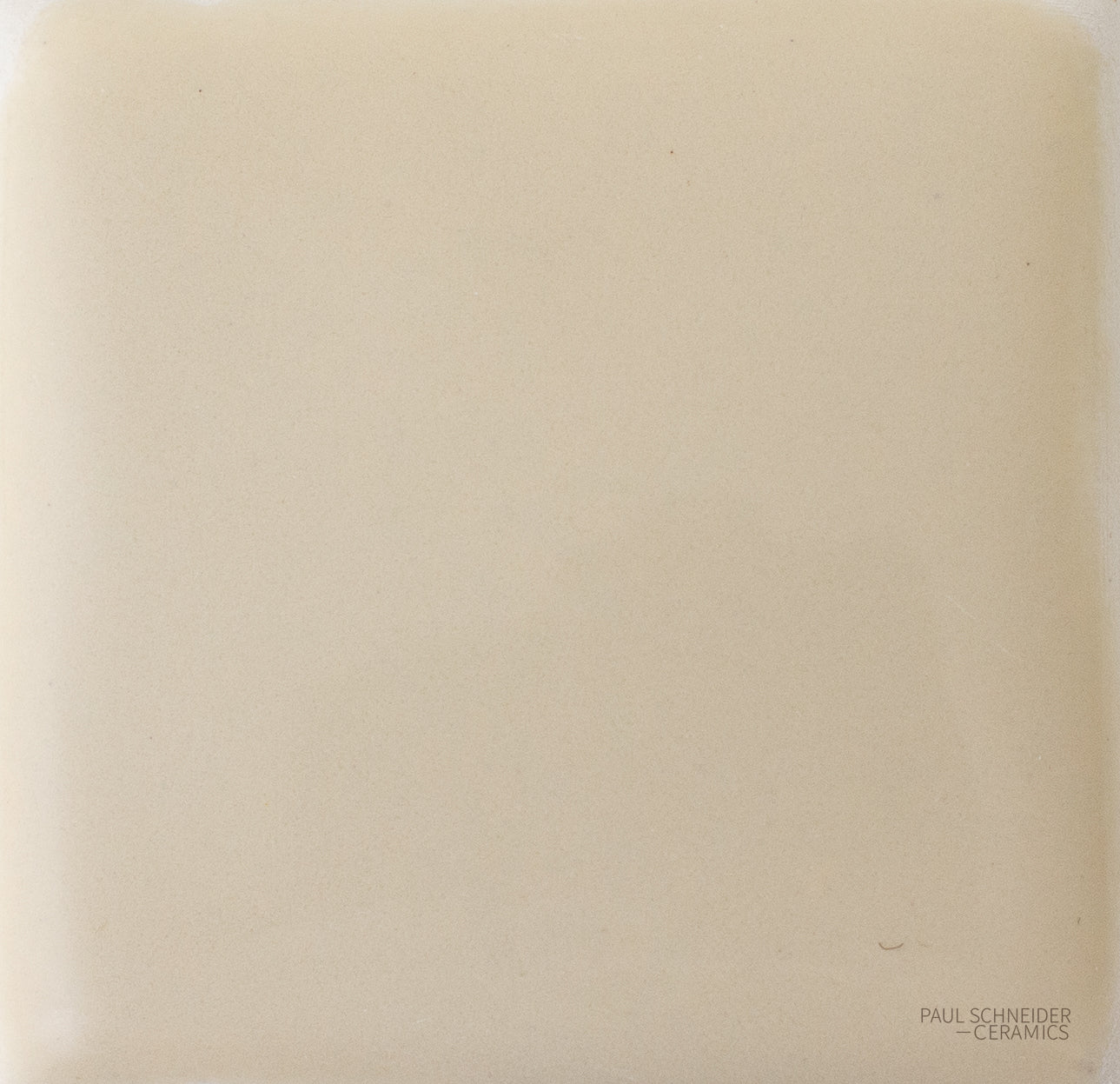 Sample - Solid Glossy / Vanilla Dip #1596-L