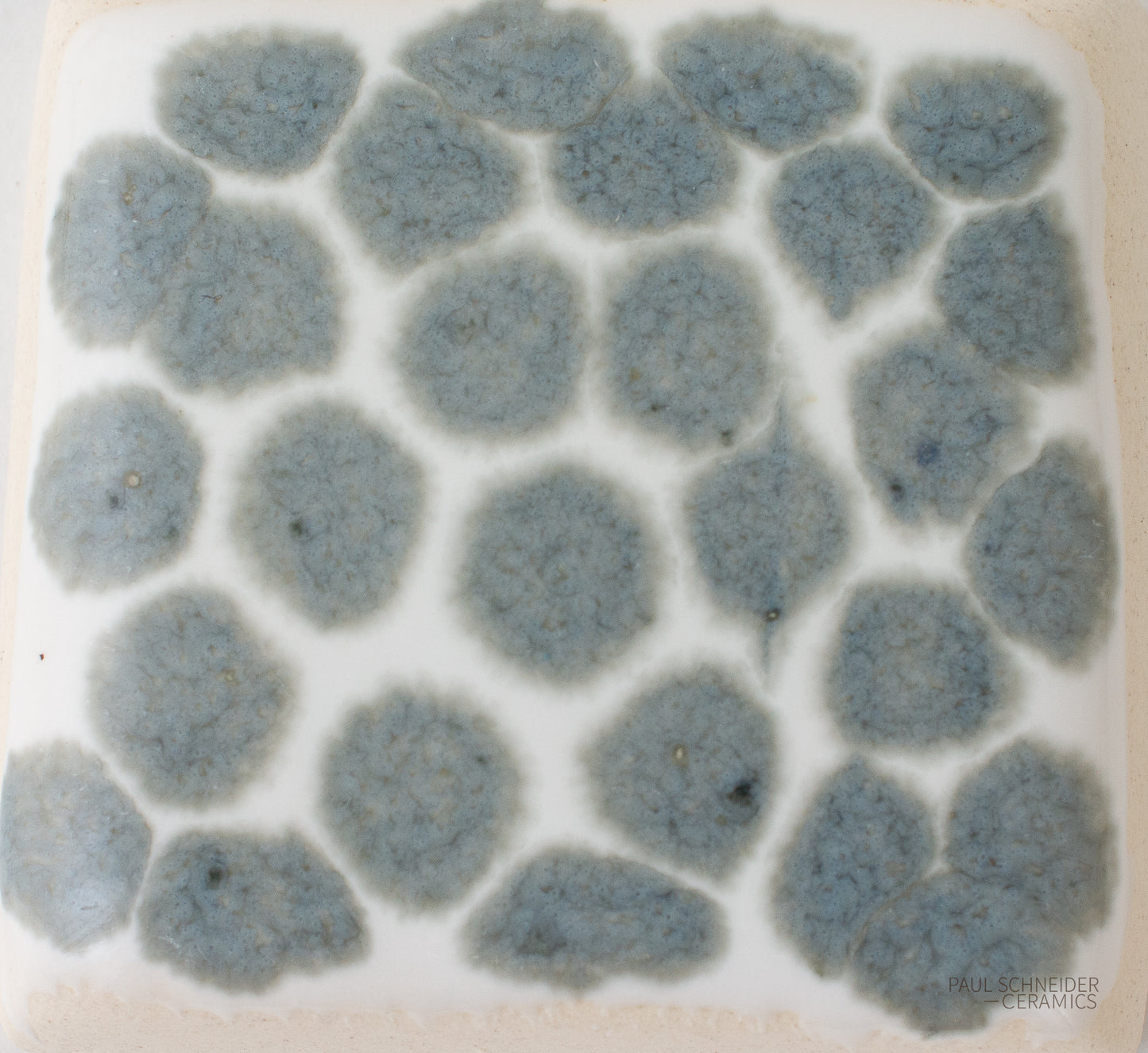 Sample - Dappled / #6166-M