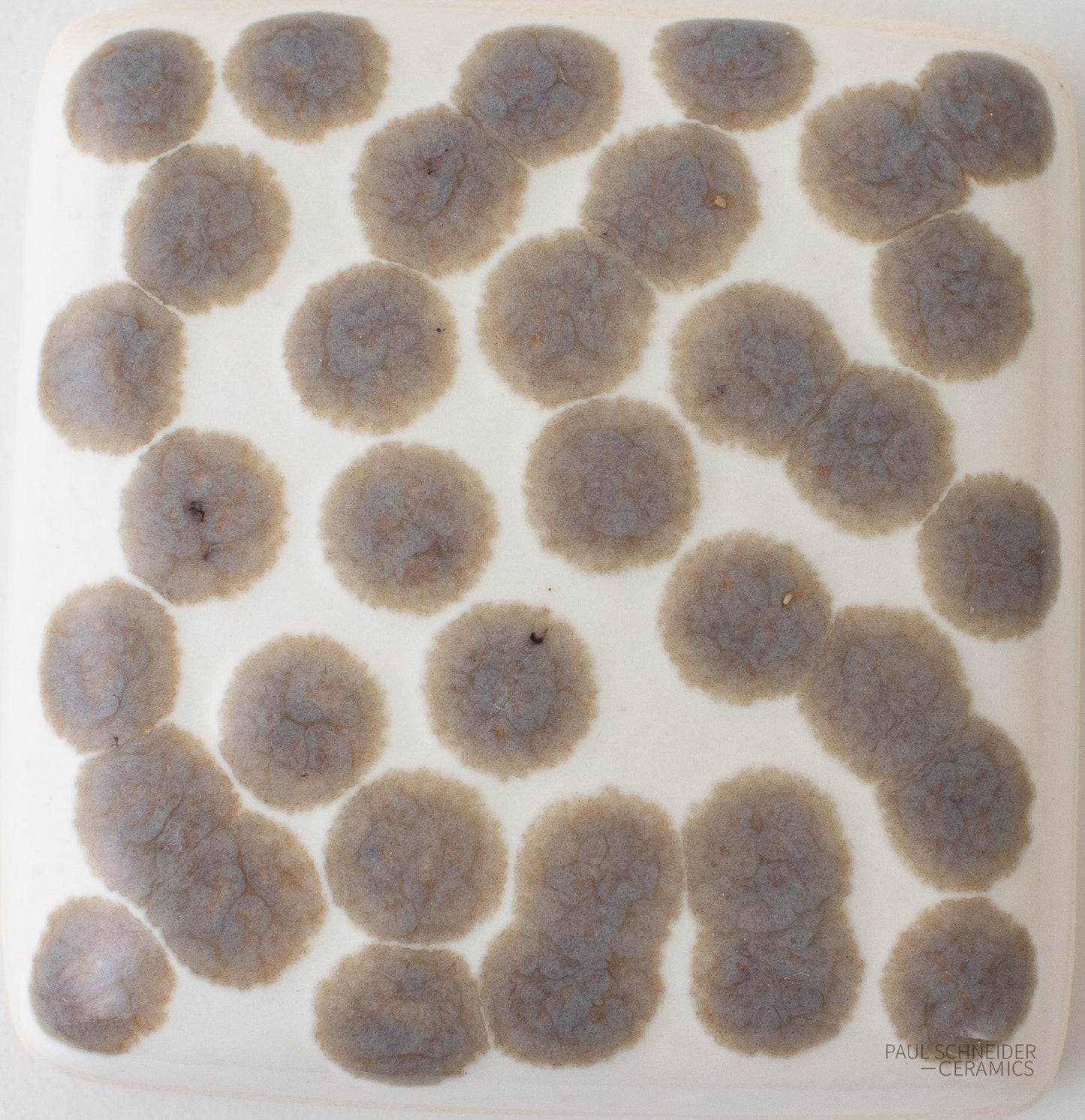 Sample - Dappled / #6188-M