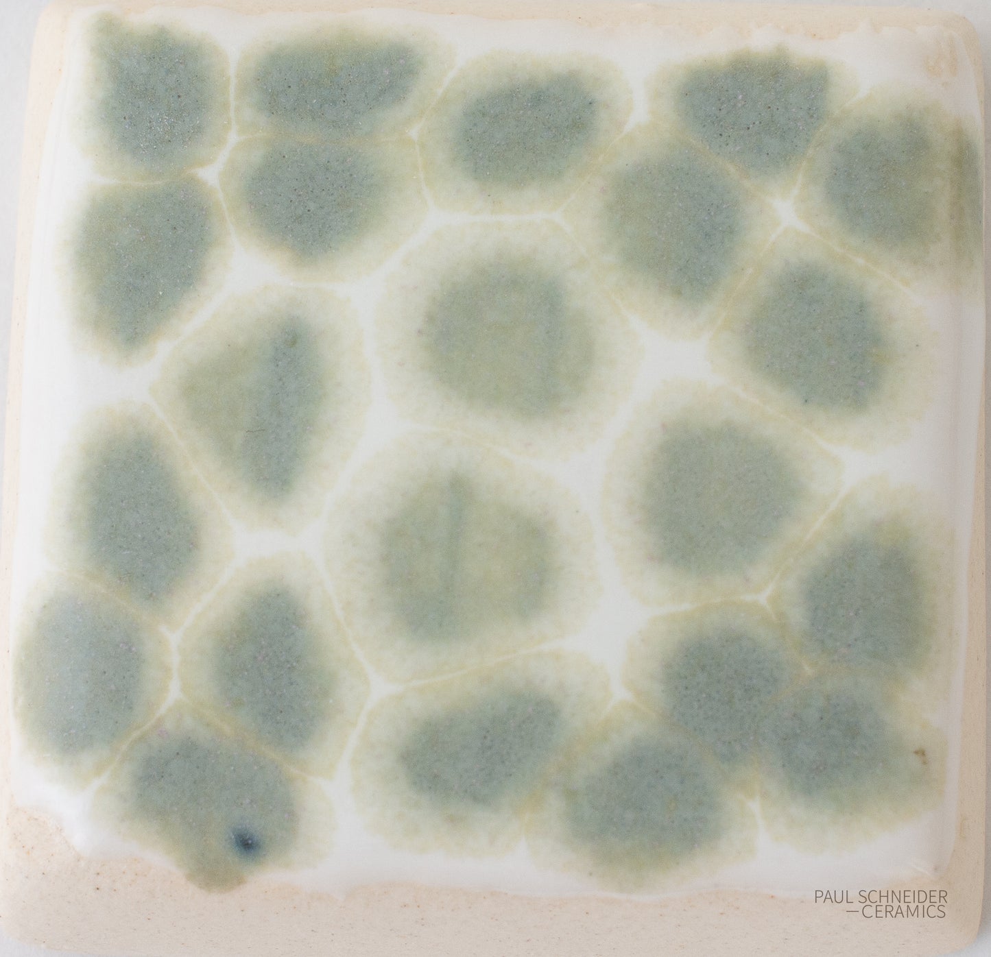 Sample - Dappled / #6233-M