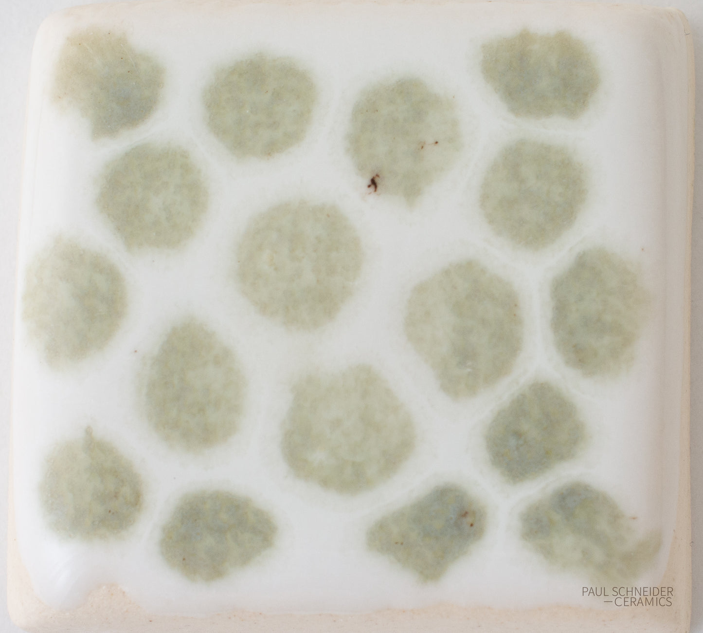 Sample - Dappled / #6283-M