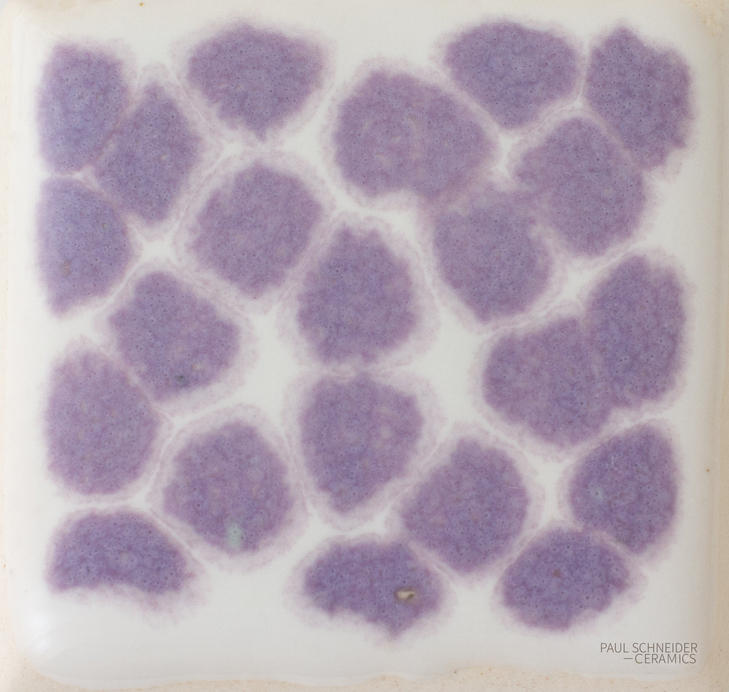 Sample - Dappled / #6306-M