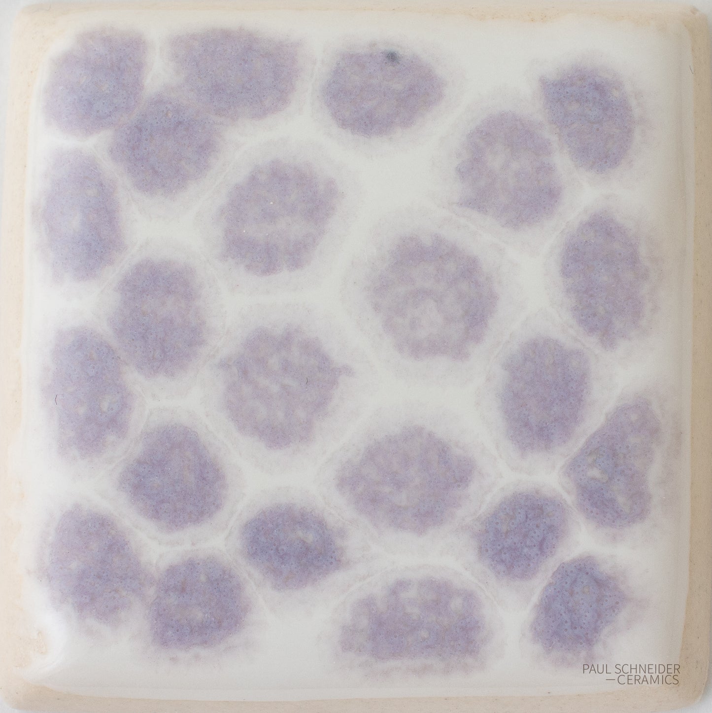 Sample - Dappled / #6309-M