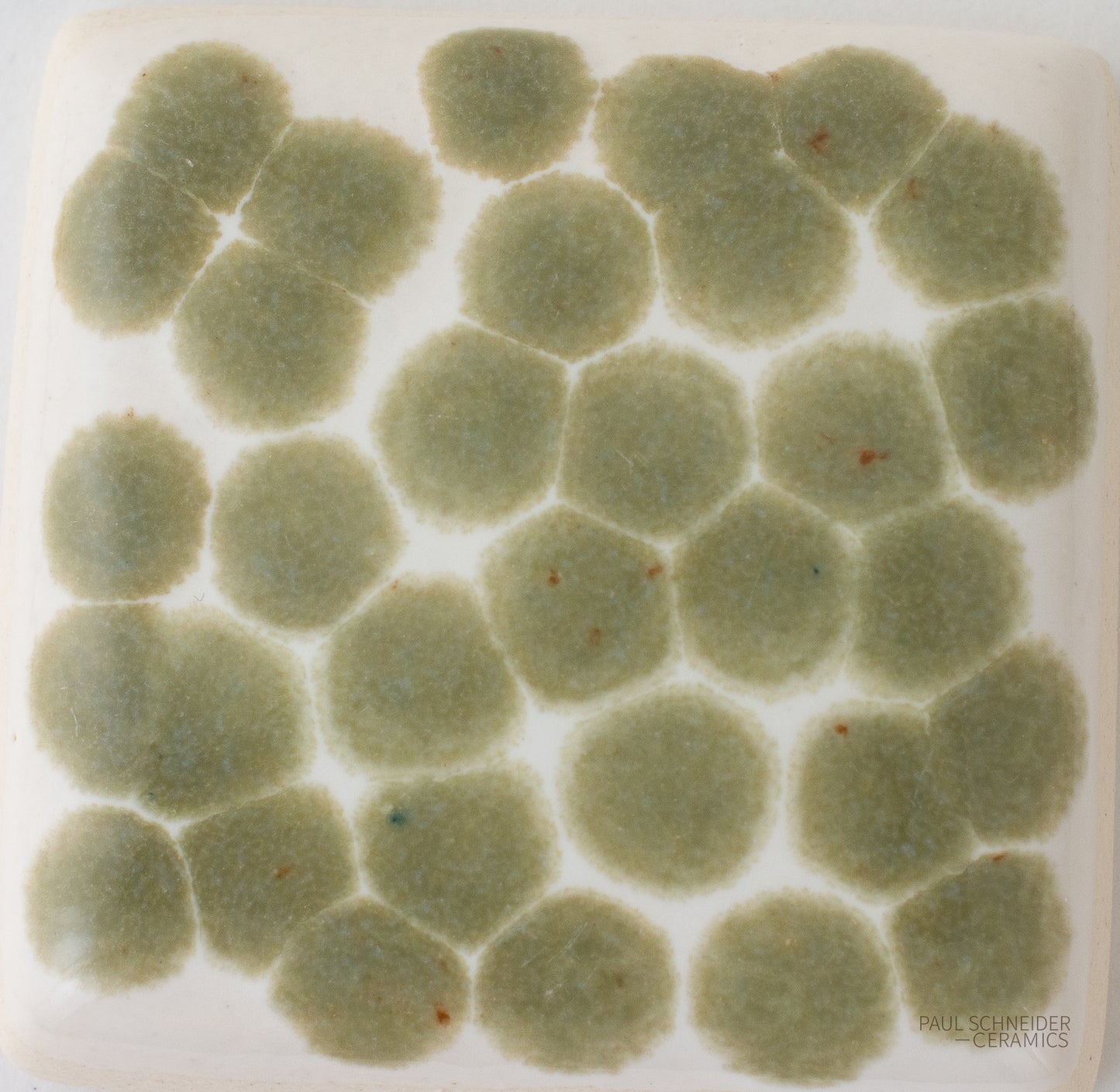 Sample - Dappled / #6345-M