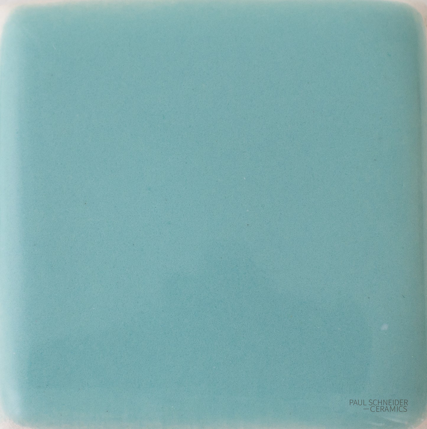 Sample - Solid Glossy / #1608-L