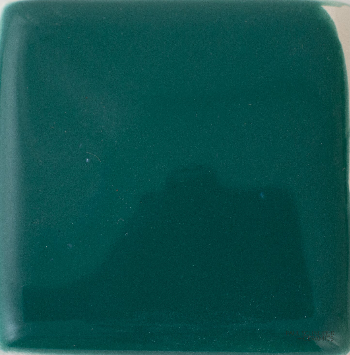 Sample - Solid Glossy / #1609-L