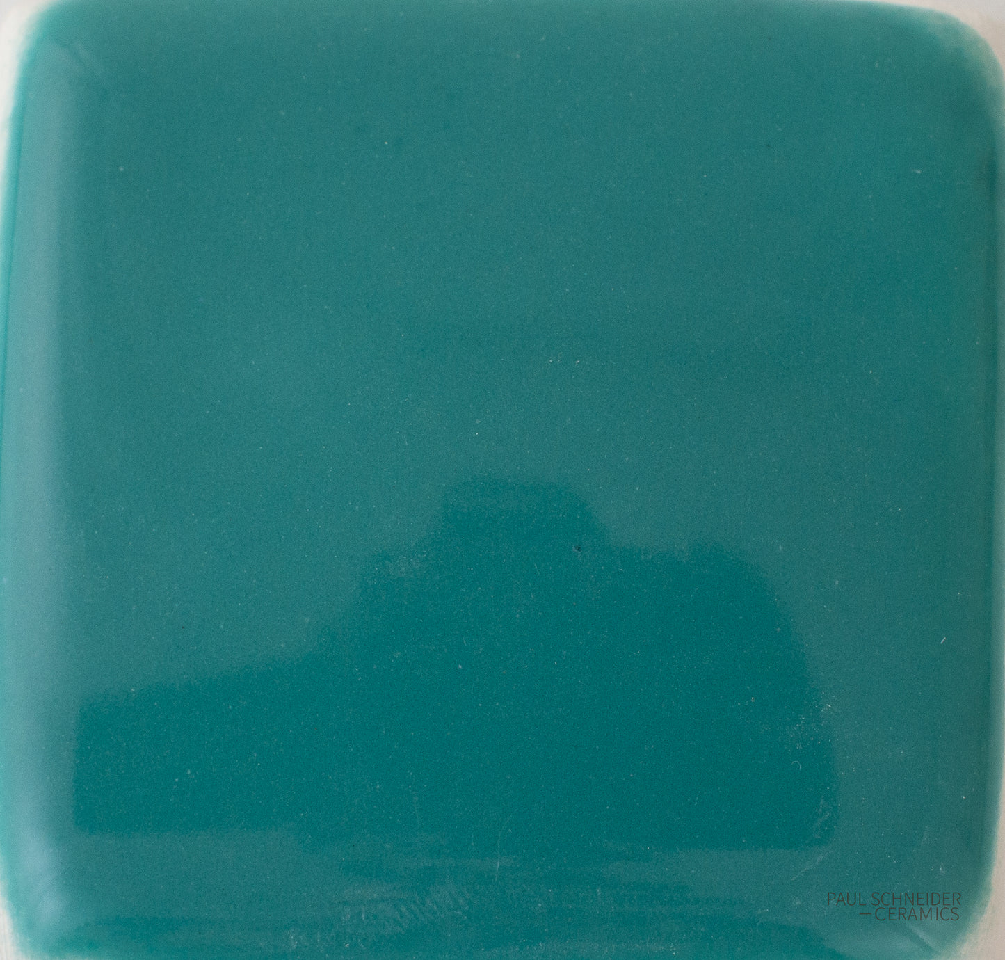 Sample - Solid Glossy / #1611-L