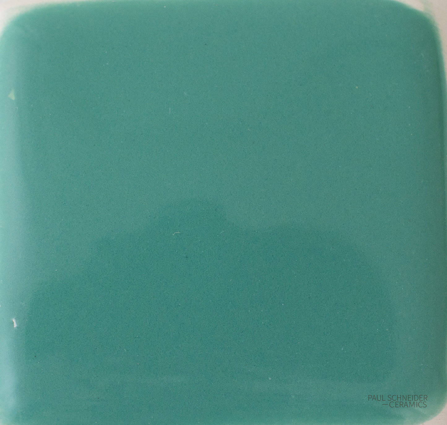 Sample - Solid Glossy / #1613-L