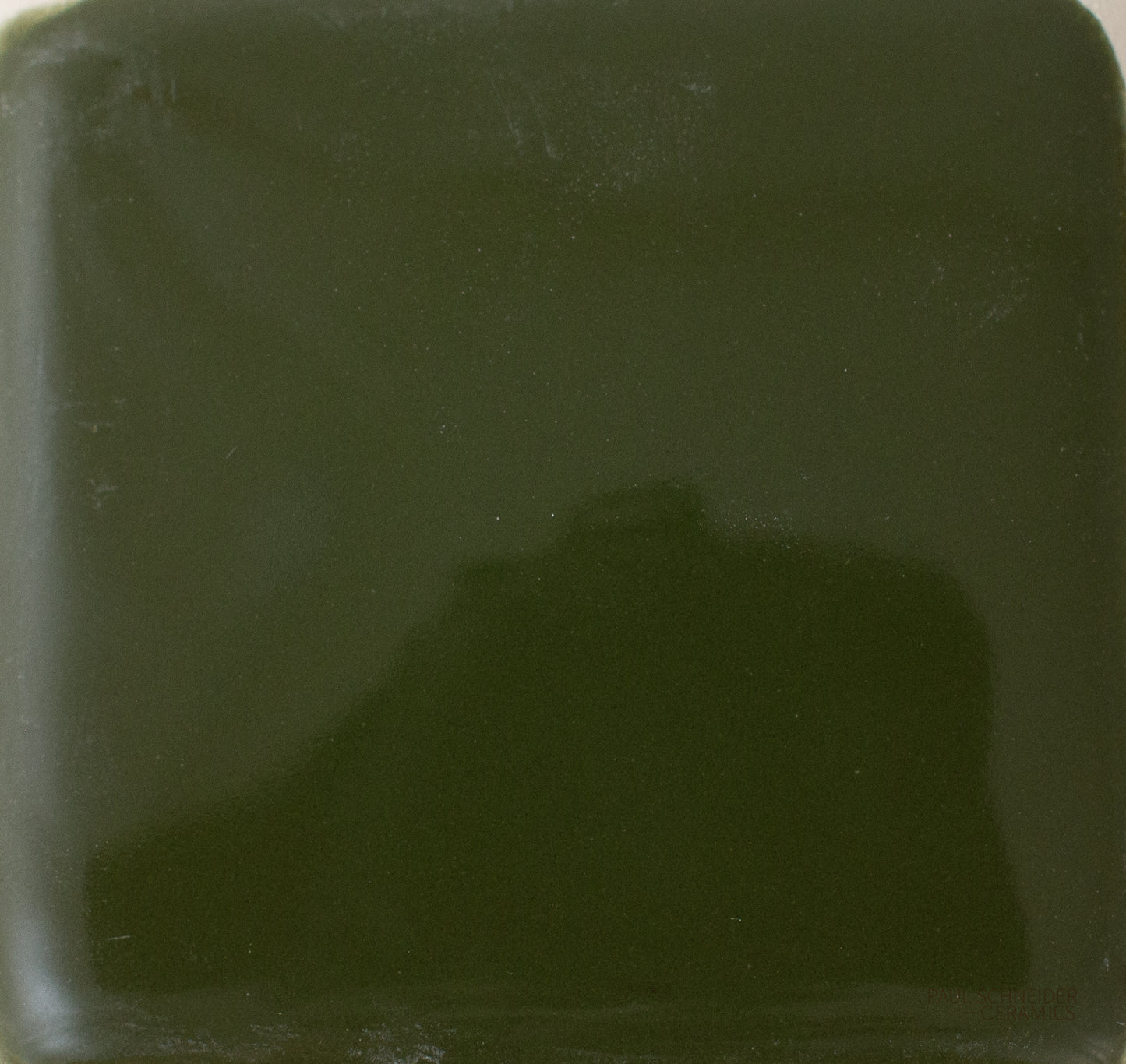 Sample - Solid Glossy / #1616-L