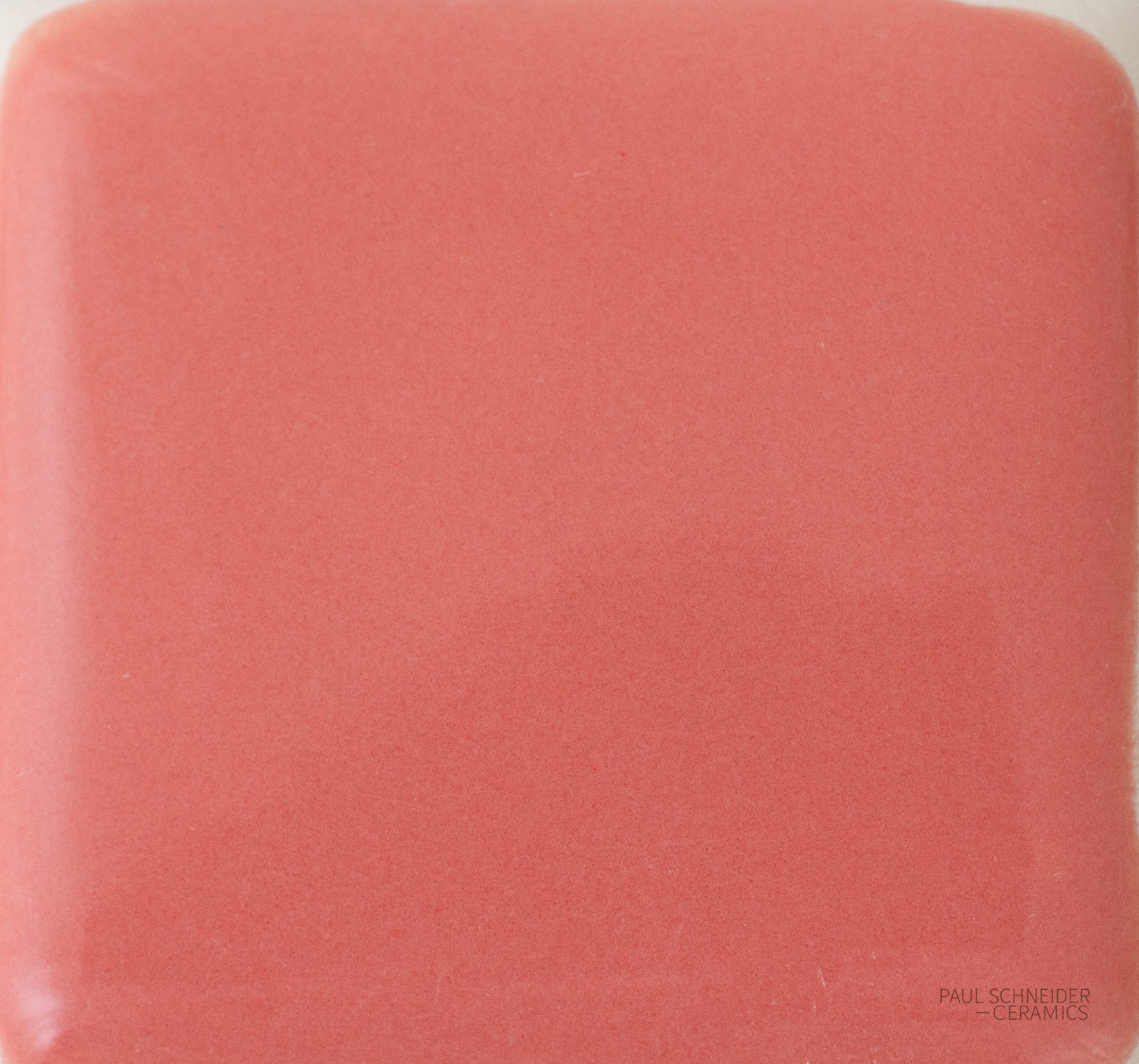 Sample - Solid Glossy / #1655-L