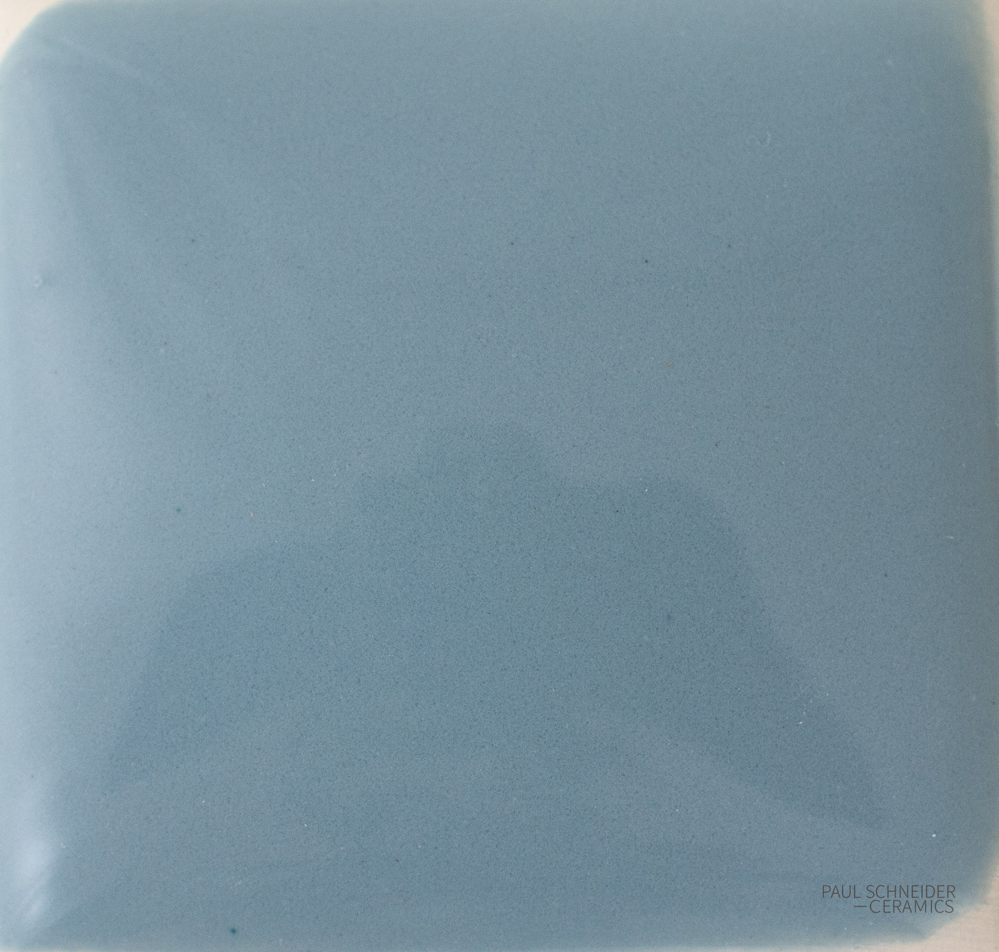 Sample - Solid Glossy / #1672-L