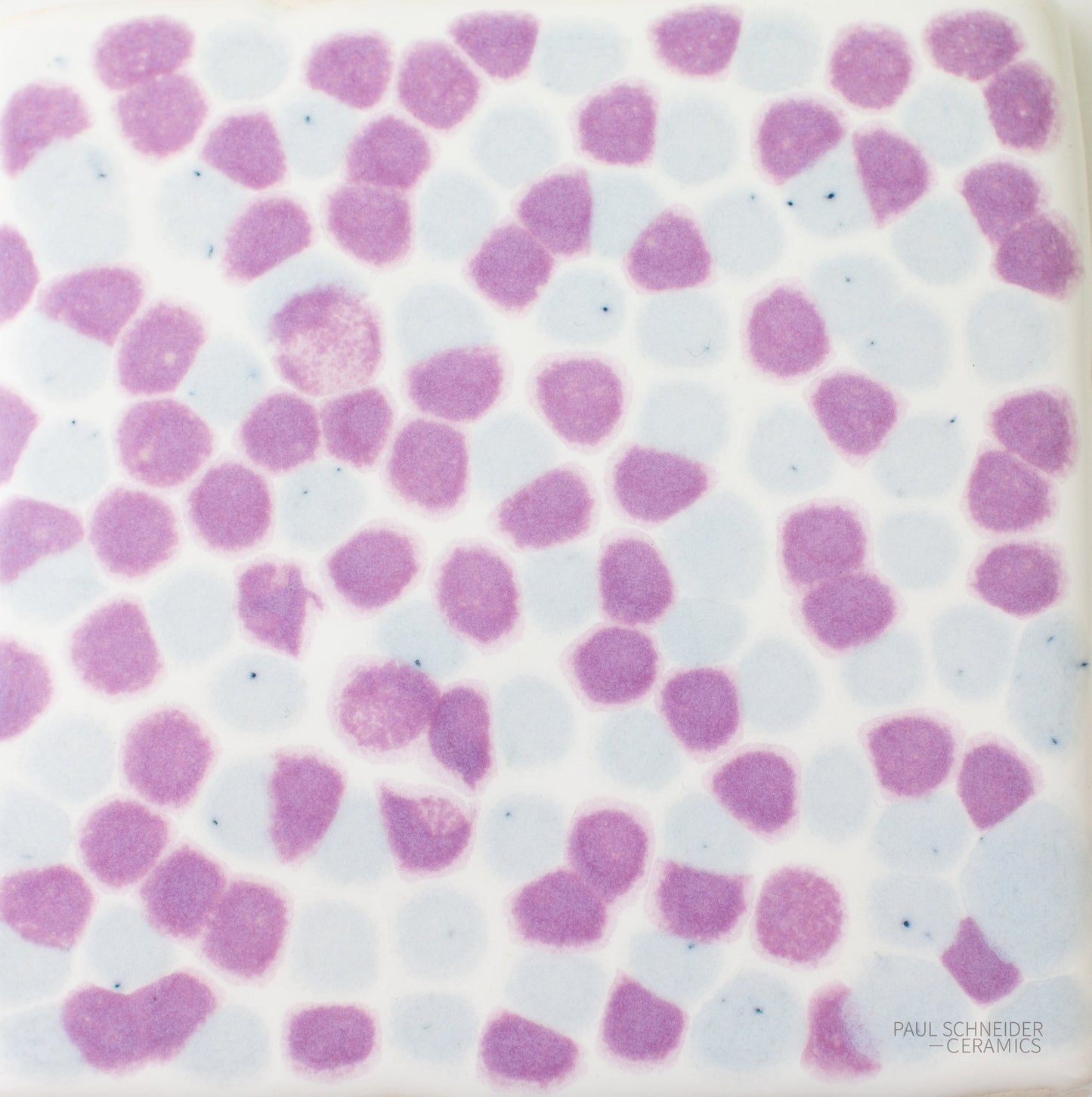 Sample - Dappled / #6045-M (violet) + #6144-M - Sample