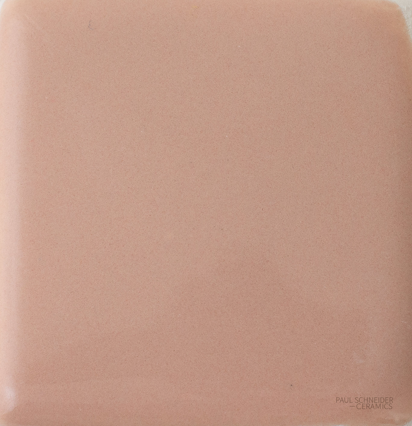 Sample - Solid Glossy / #1567-L - Sample