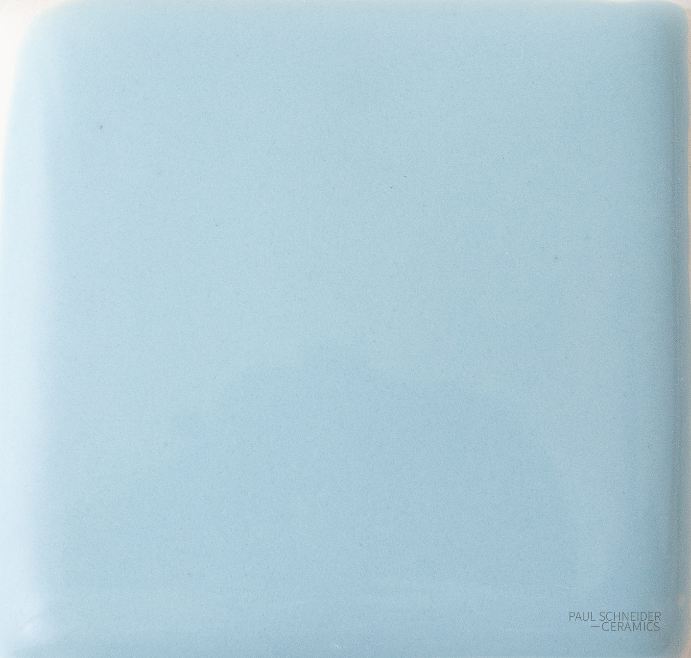 Sample - Solid Glossy / #1589-L - Sample