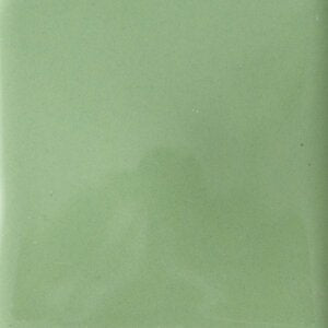 Sample - Solid Glossy / Spearmint - #1056-L - Sample