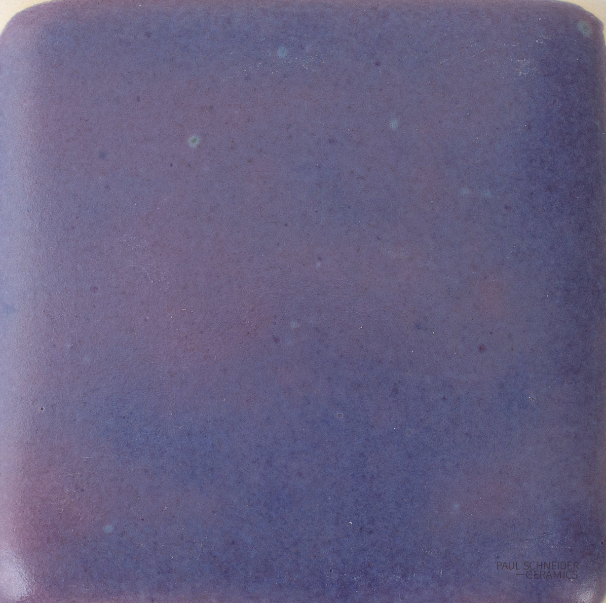 Sample - Solid Glossy / #1690-L