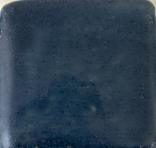 Sample - Solid Glossy / #1691-L