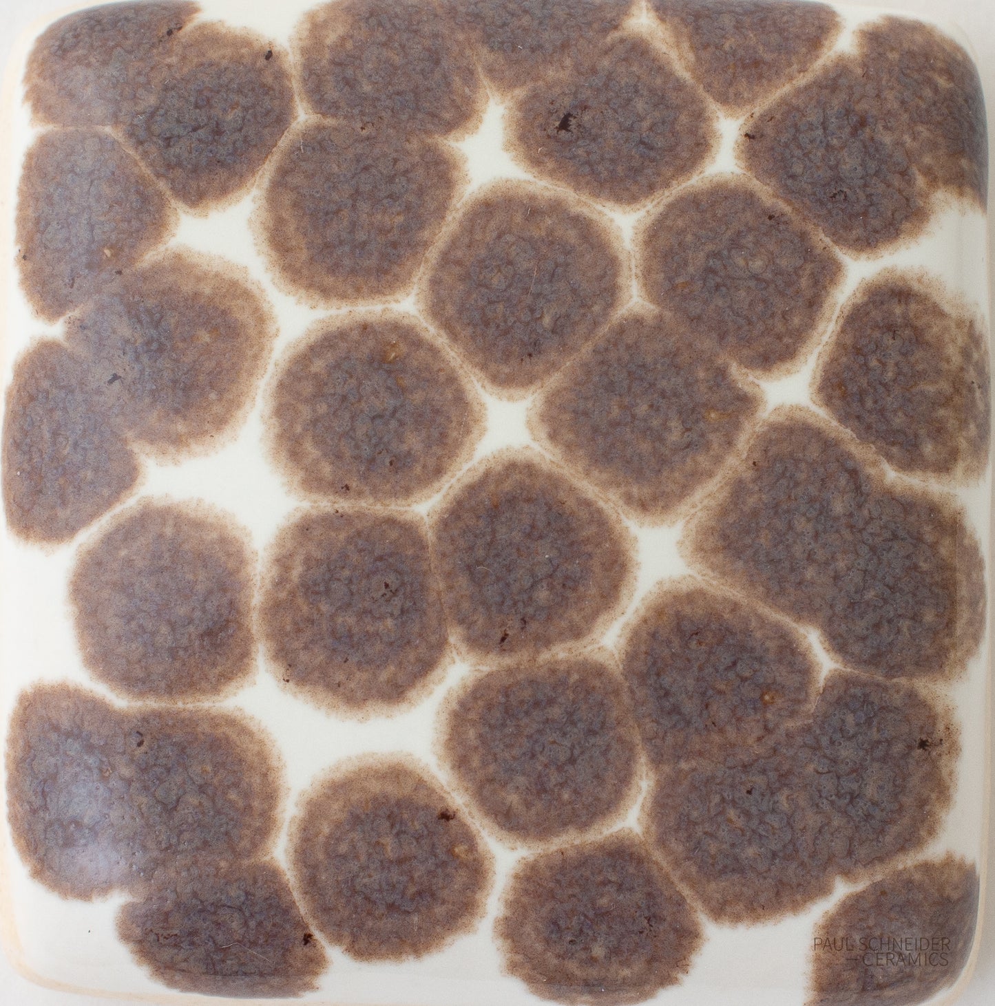 Sample - Dappled / #6036-M