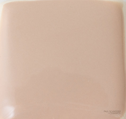 Sample - Solid Glossy / Nude #1084-L
