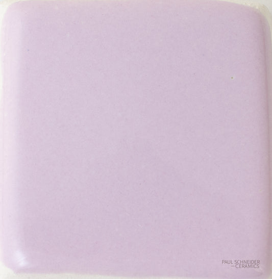 Sample - Solid Glossy / #1513-L