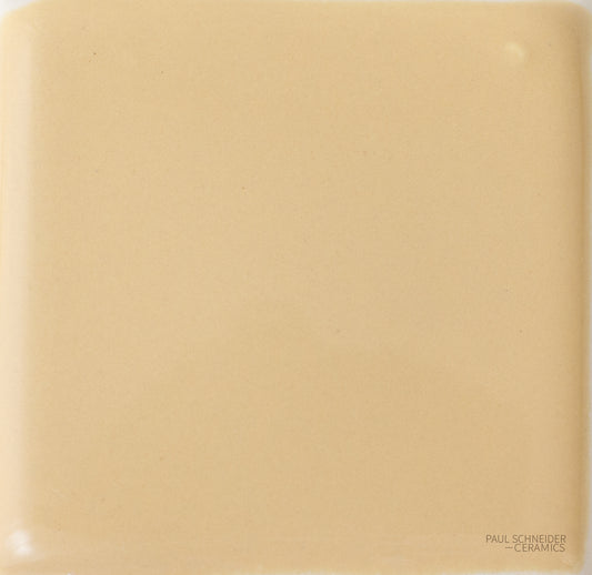 Sample - Solid Glossy / #1523-L