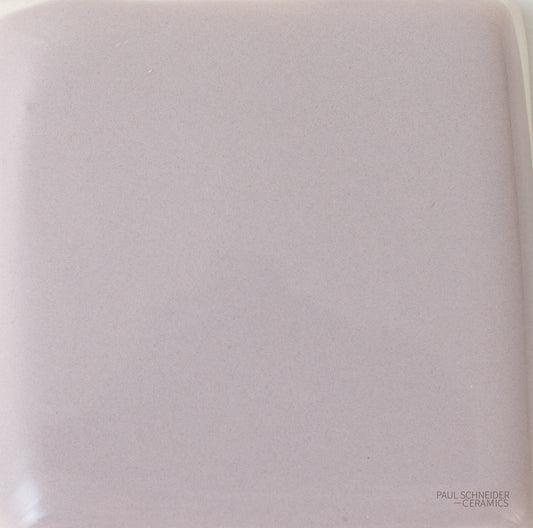 Sample - Solid Glossy / #1556-L