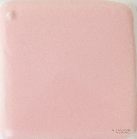 Sample - Solid Glossy / #1564-L